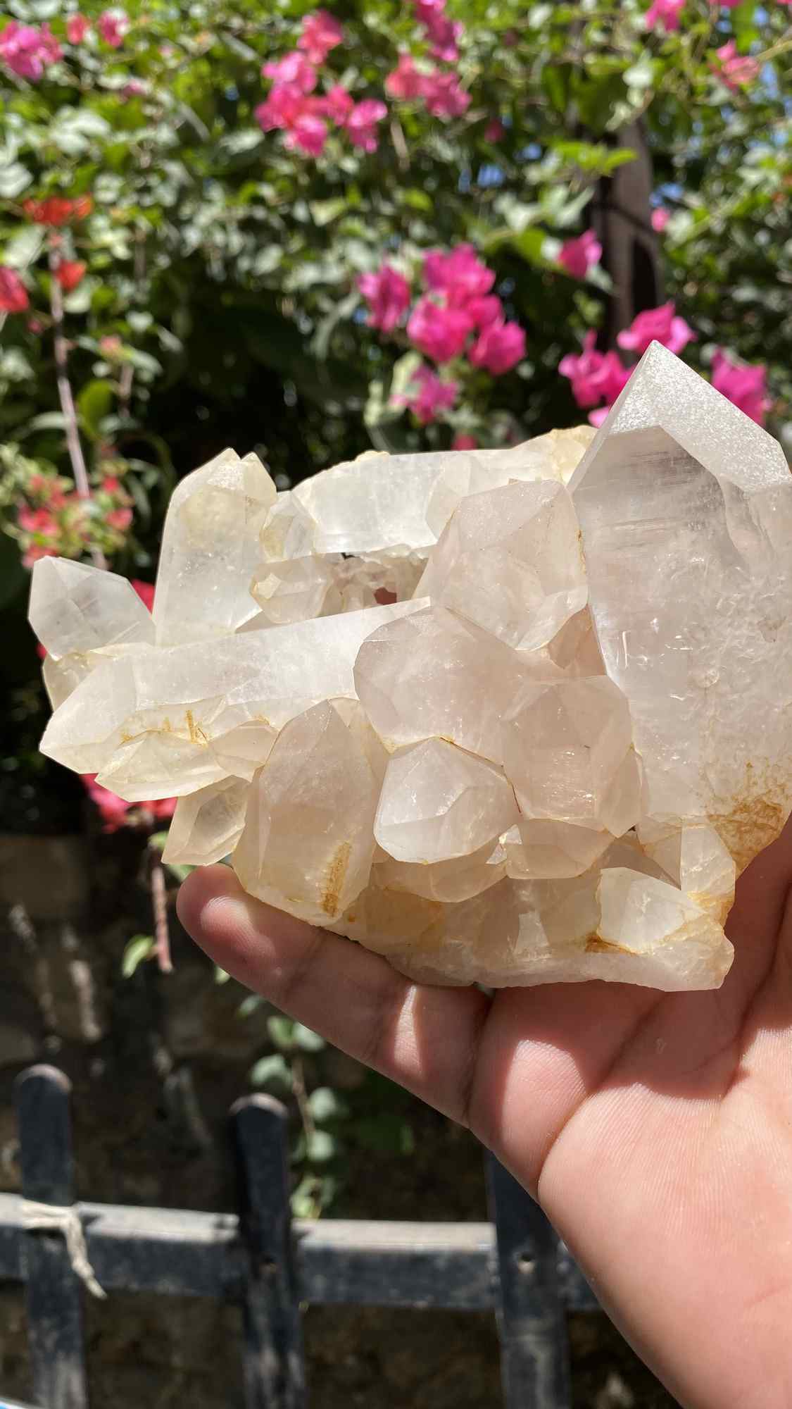 Himalya Quartz Himalayan Yellow Quartz crystal cluster with raw stone for positivity, abundance, and meditation.