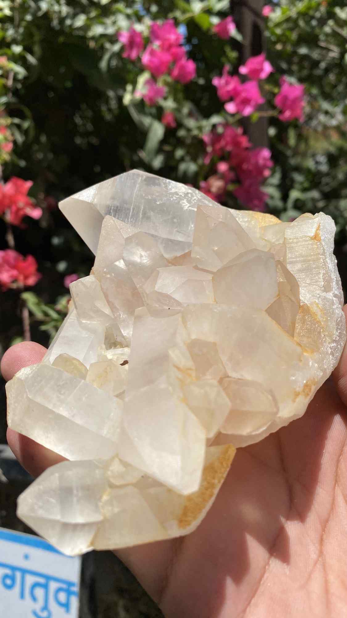 Natural Himalayan Yellow Quartz crystal cluster by Himalya Quartz, raw healing stone for positivity, abundance, and meditation.
