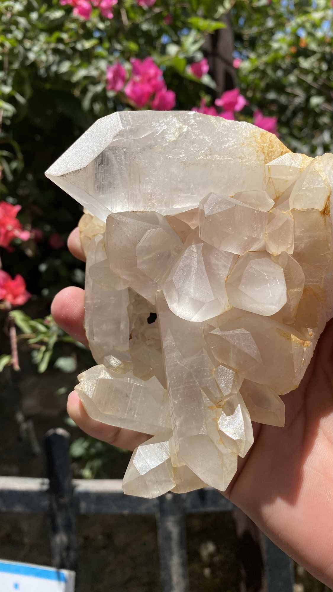Himalya Quartz Himalayan Yellow Quartz crystal cluster with raw healing stones for positivity, abundance, and meditation.