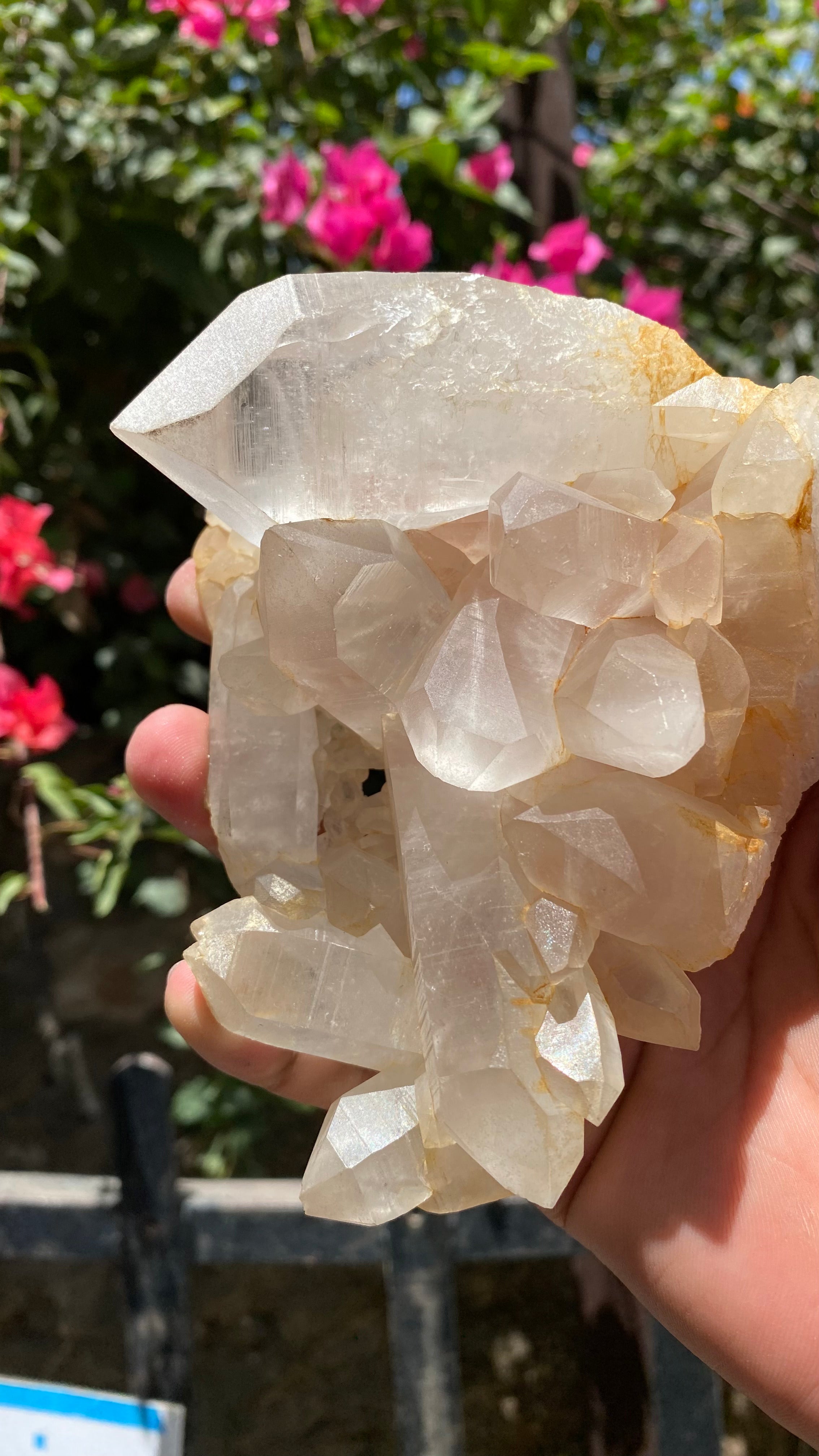 Himalya Quartz Himalayan Yellow Quartz crystal cluster with raw healing stones for positivity, abundance, and meditation.