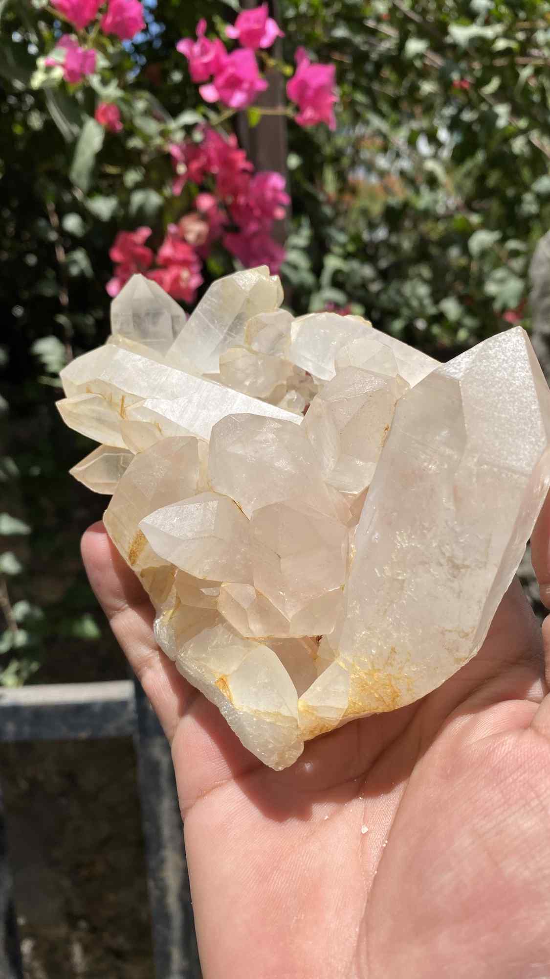 Himalya Quartz Himalayan Yellow Quartz Crystal Cluster, raw healing stone for positivity, abundance, and meditation.