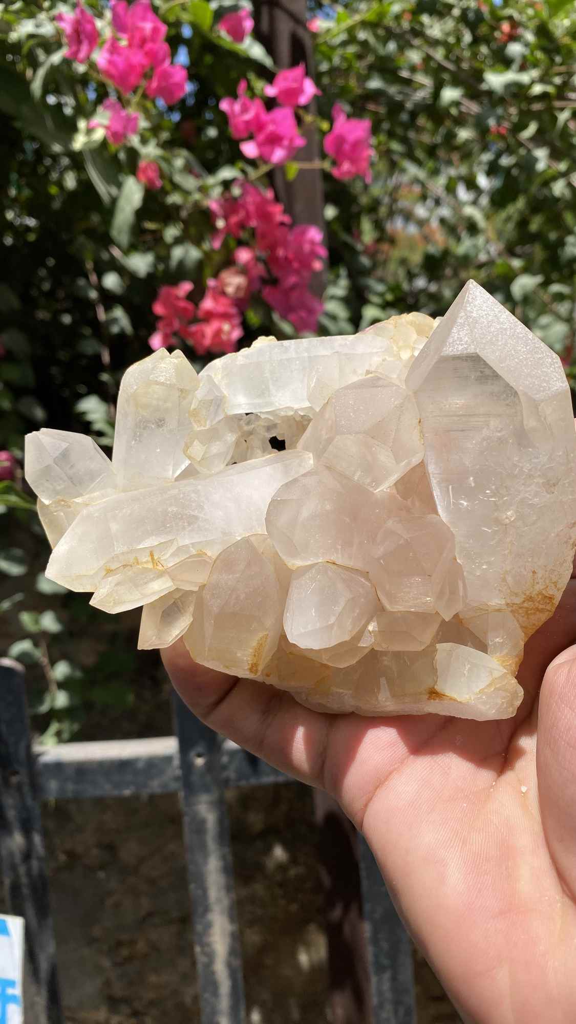 Himalya Quartz Himalayan Yellow Quartz crystal cluster with raw healing stones for positivity, abundance, and meditation.