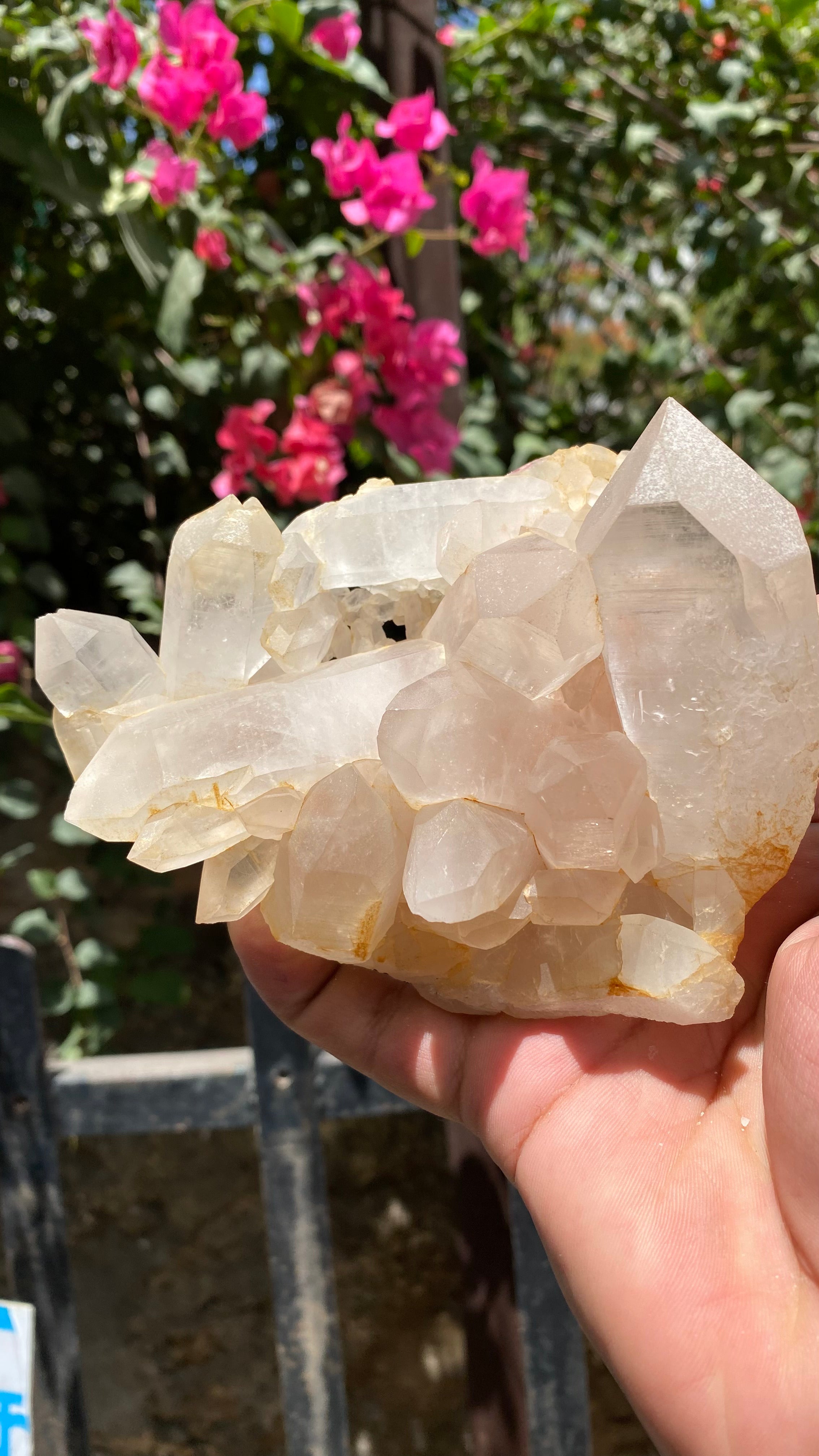 Himalya Quartz Himalayan Yellow Quartz crystal cluster with raw healing stones for positivity, abundance, and meditation.