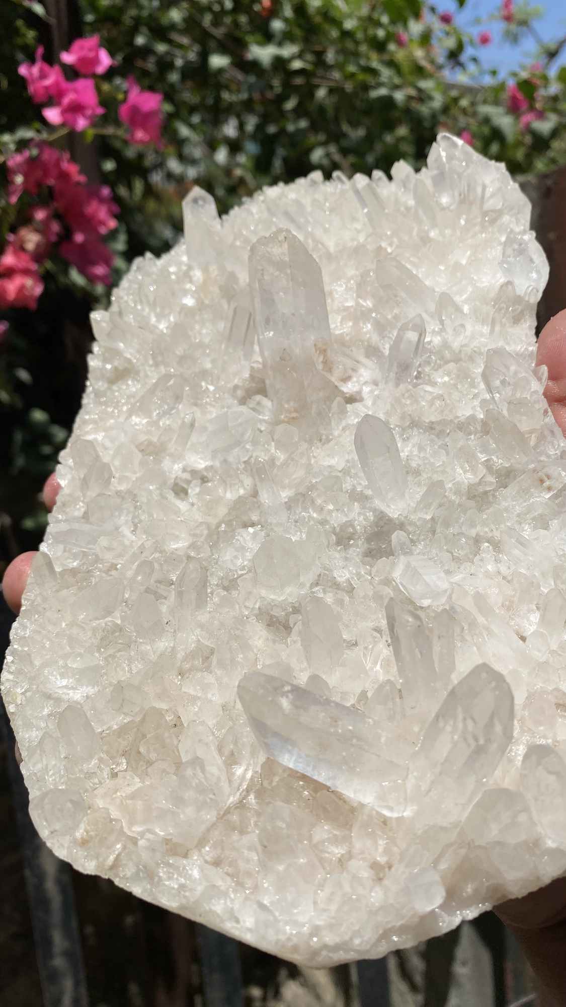 Natural Himalayan White Quartz Crystal Cluster from Himalya Quartz, showcasing raw healing stone for meditation, Reiki, and spiritual decor.