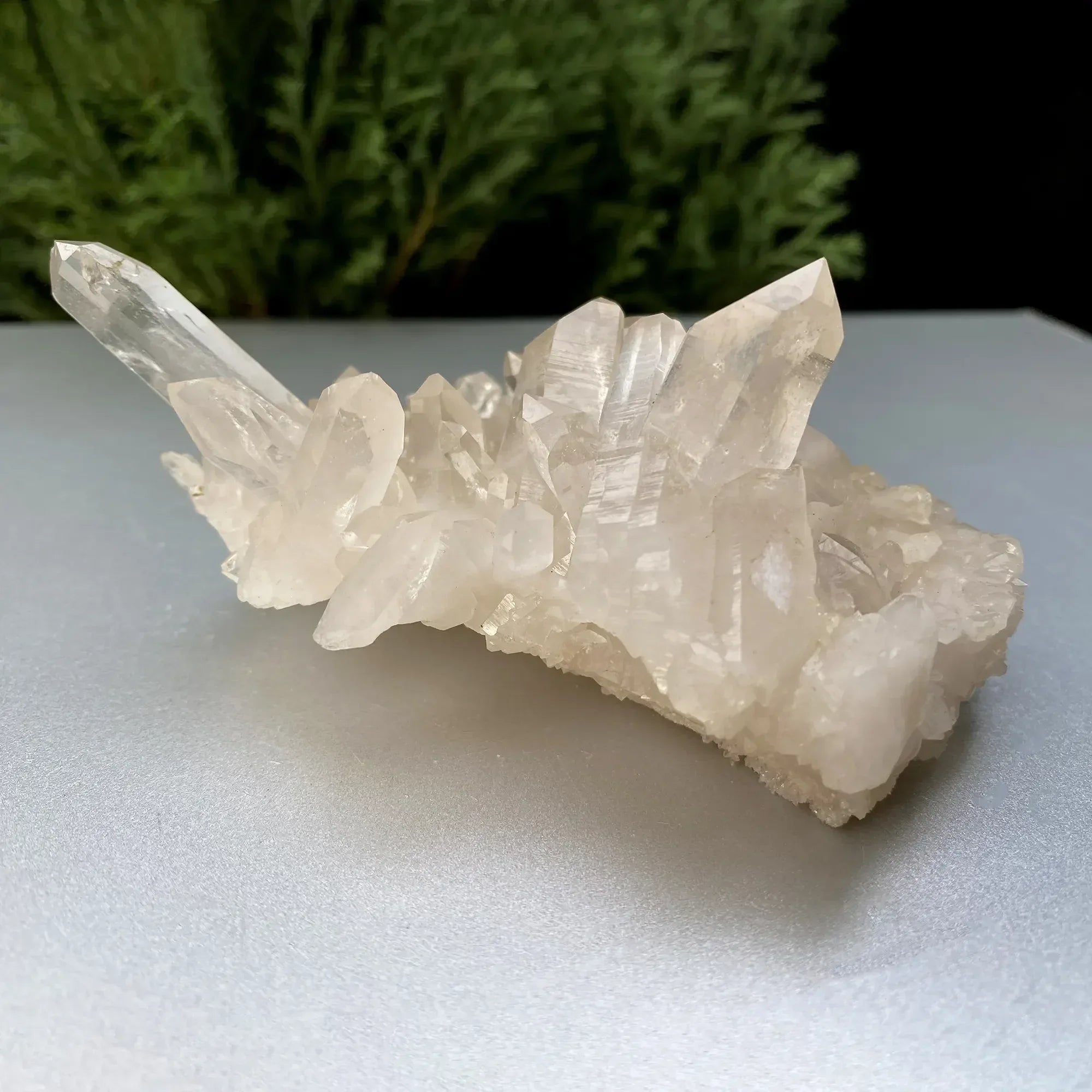 Natural Himalayan White + Pink Quartz Cluster 240g Himalayan Quartz