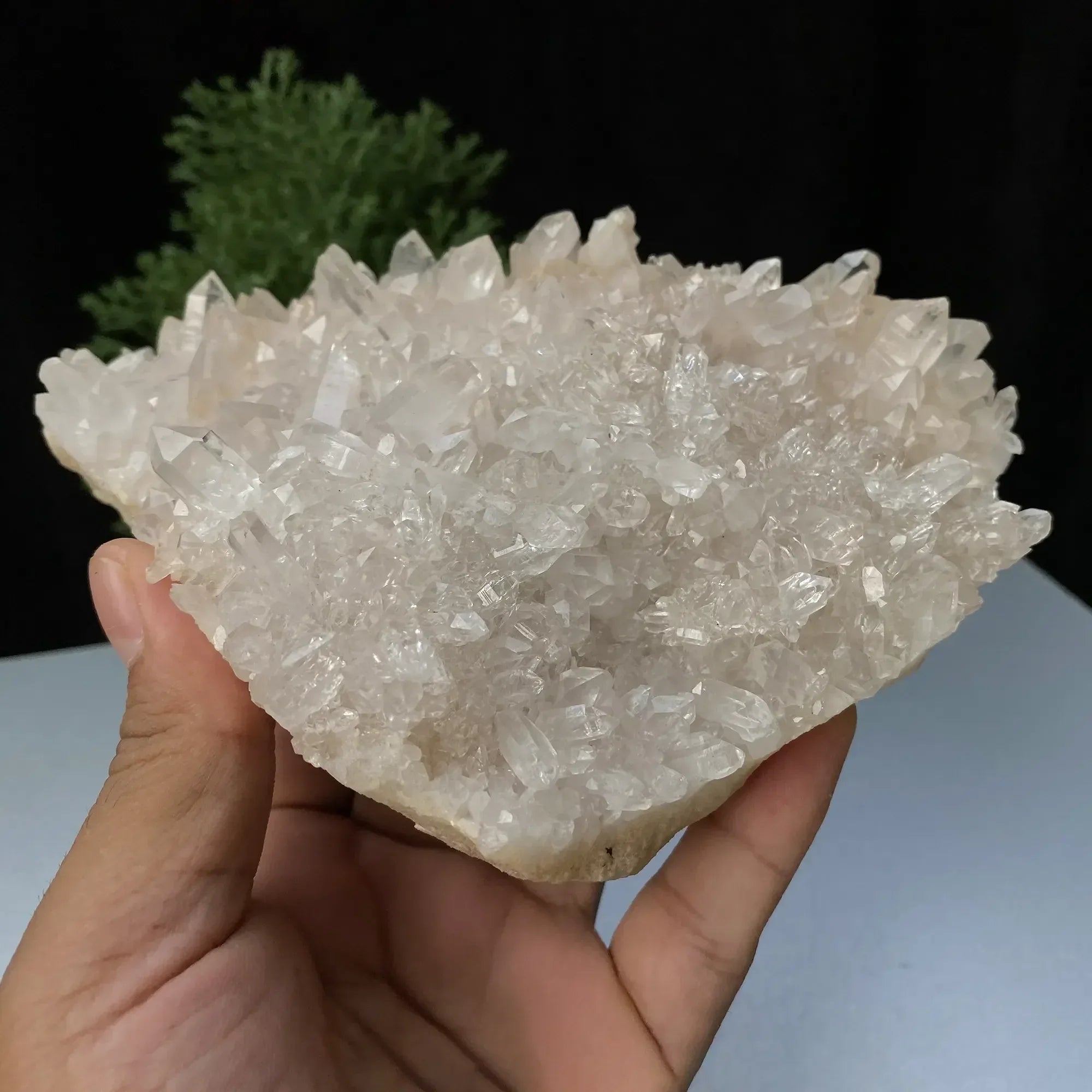 Natural Himalayan Pink Quartz Cluster 555g Himalayan Quartz