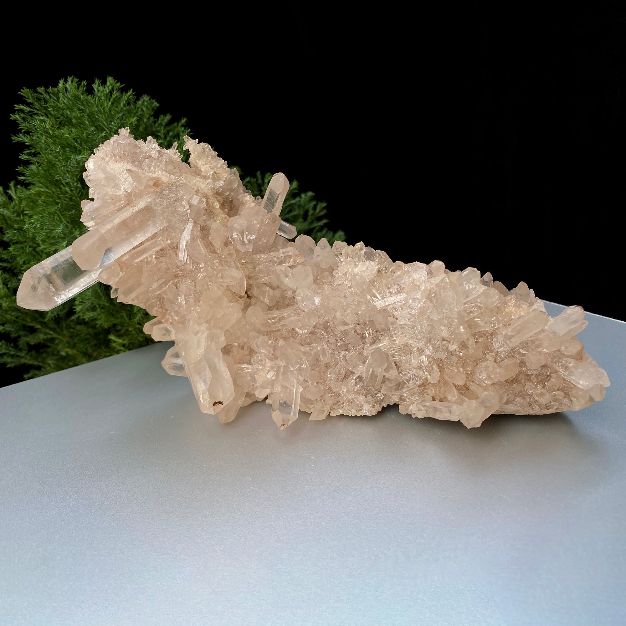 White & Pink Samadhi Quartz Crystal Cluster Healing Energy Raw Himalayan Display