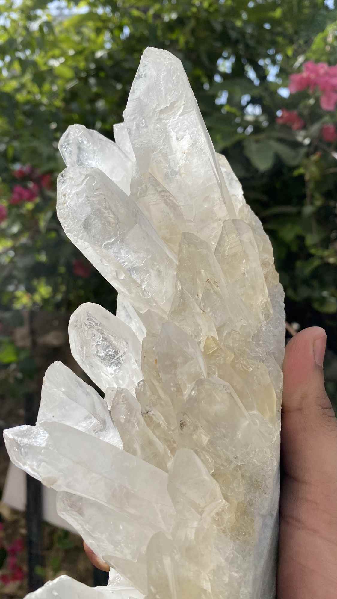 Himalya Quartz Himalayan White Quartz Crystal Cluster for meditation and spiritual decor, showcasing raw healing stone formation.
