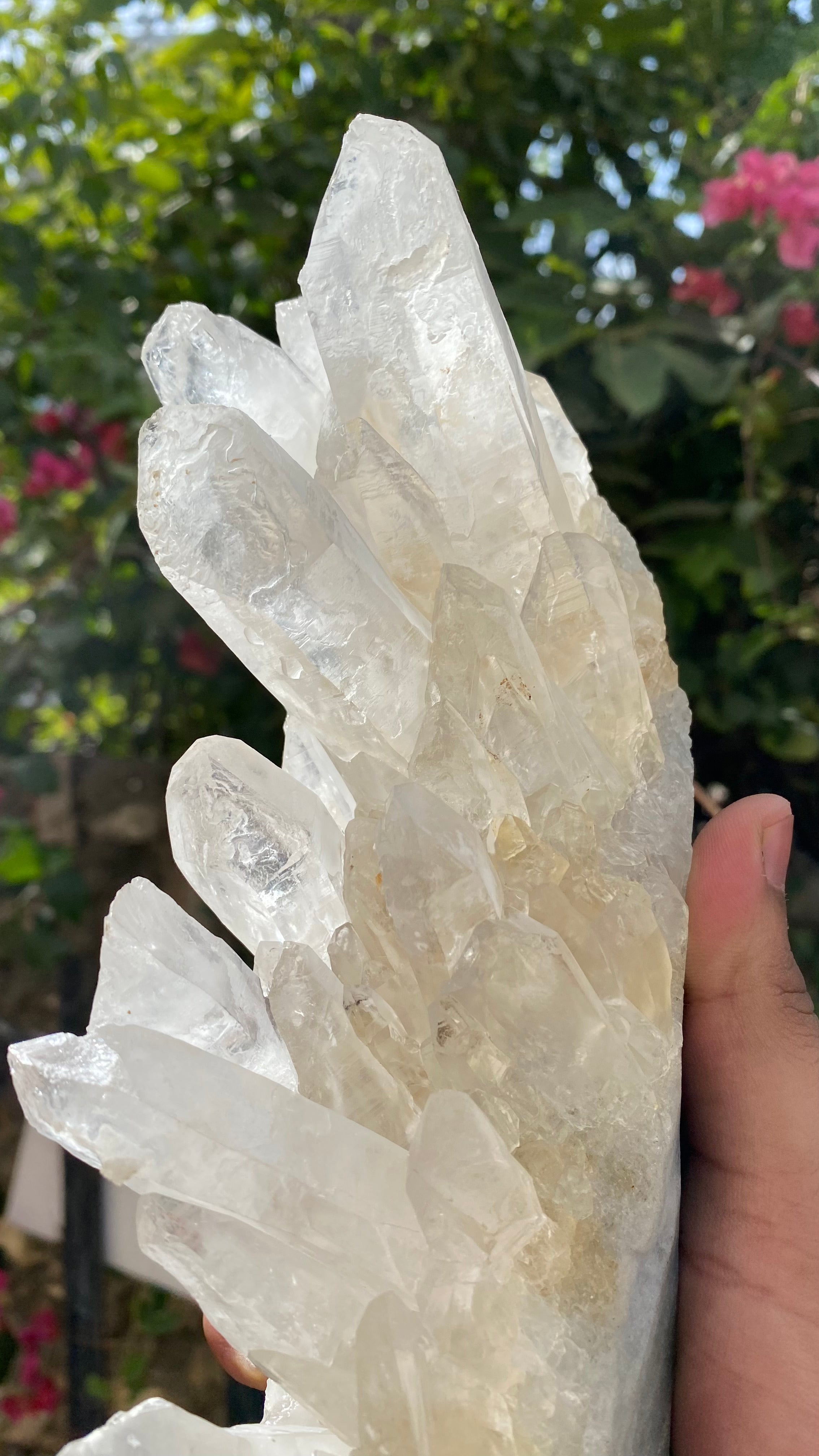 Himalya Quartz Himalayan White Quartz Crystal Cluster for meditation and spiritual decor, showcasing raw healing stone formation.