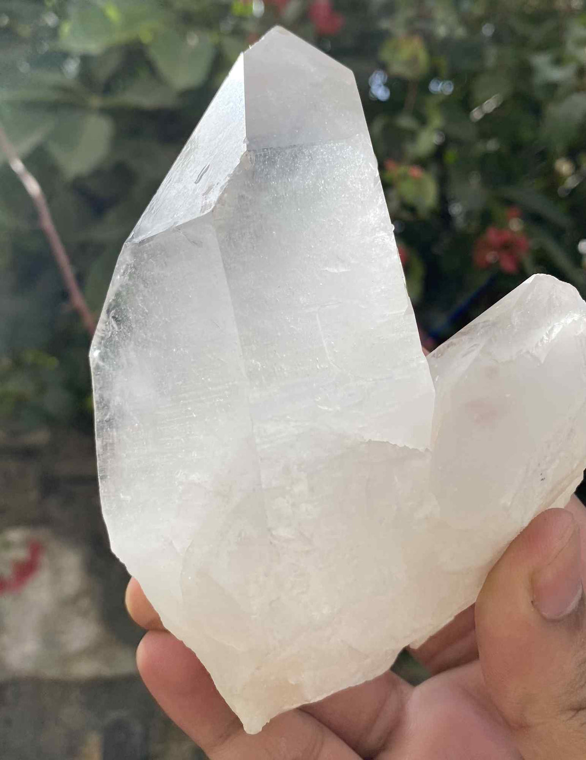 Himalayan Quartz cluster with crystal points from India, high-vibration healing tool, weighs 1.48 lbs, natural mineral collector's piece.