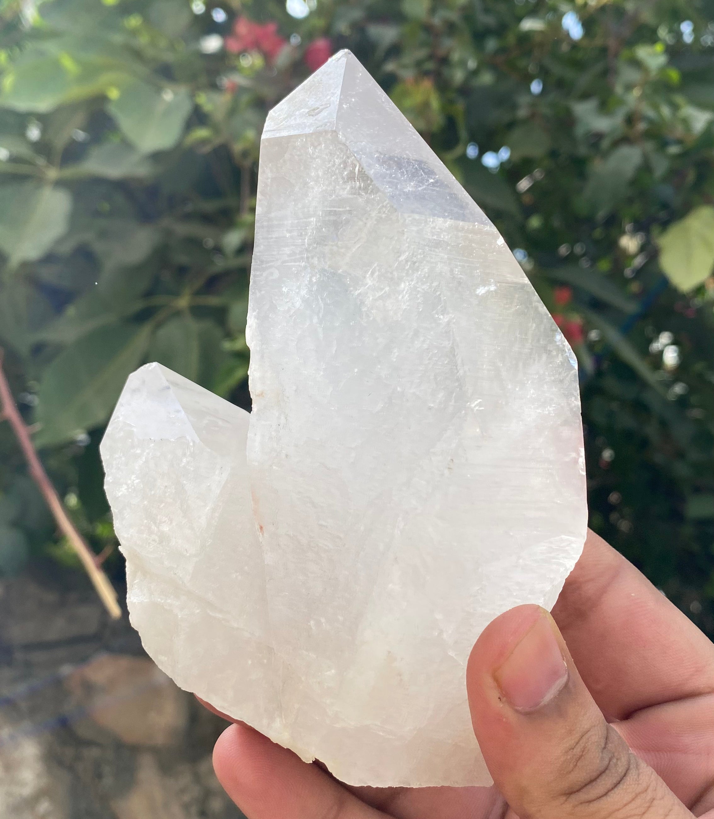 Himalayan Quartz Cluster: Samadhi Crystal Point from India High-Vibration Healing Tool, Collector's Treasure 1.48 LBS