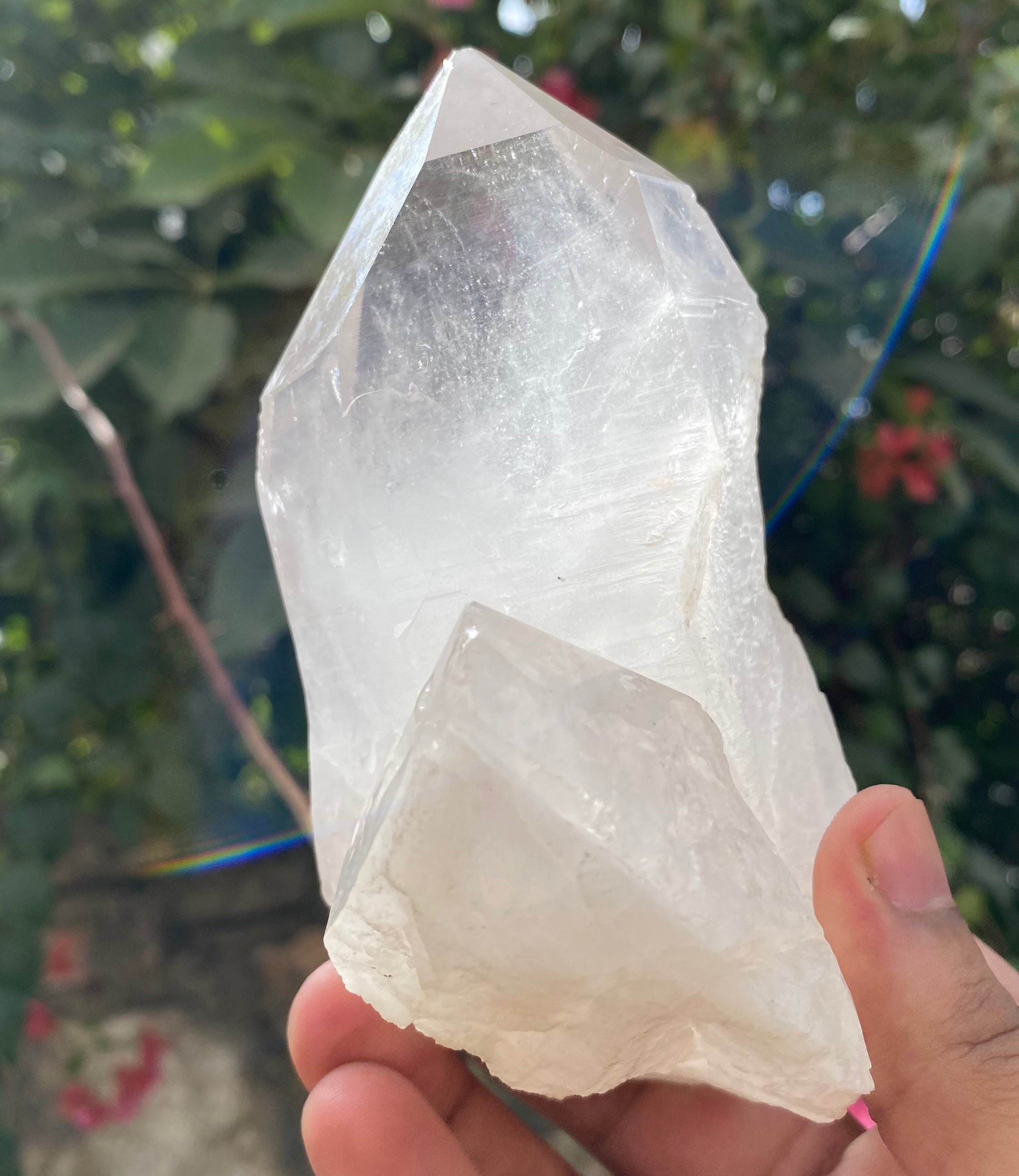 Himalayan Quartz Cluster: Samadhi Crystal Point from India High-Vibration Healing Tool, Collector's Treasure 1.48 LBS