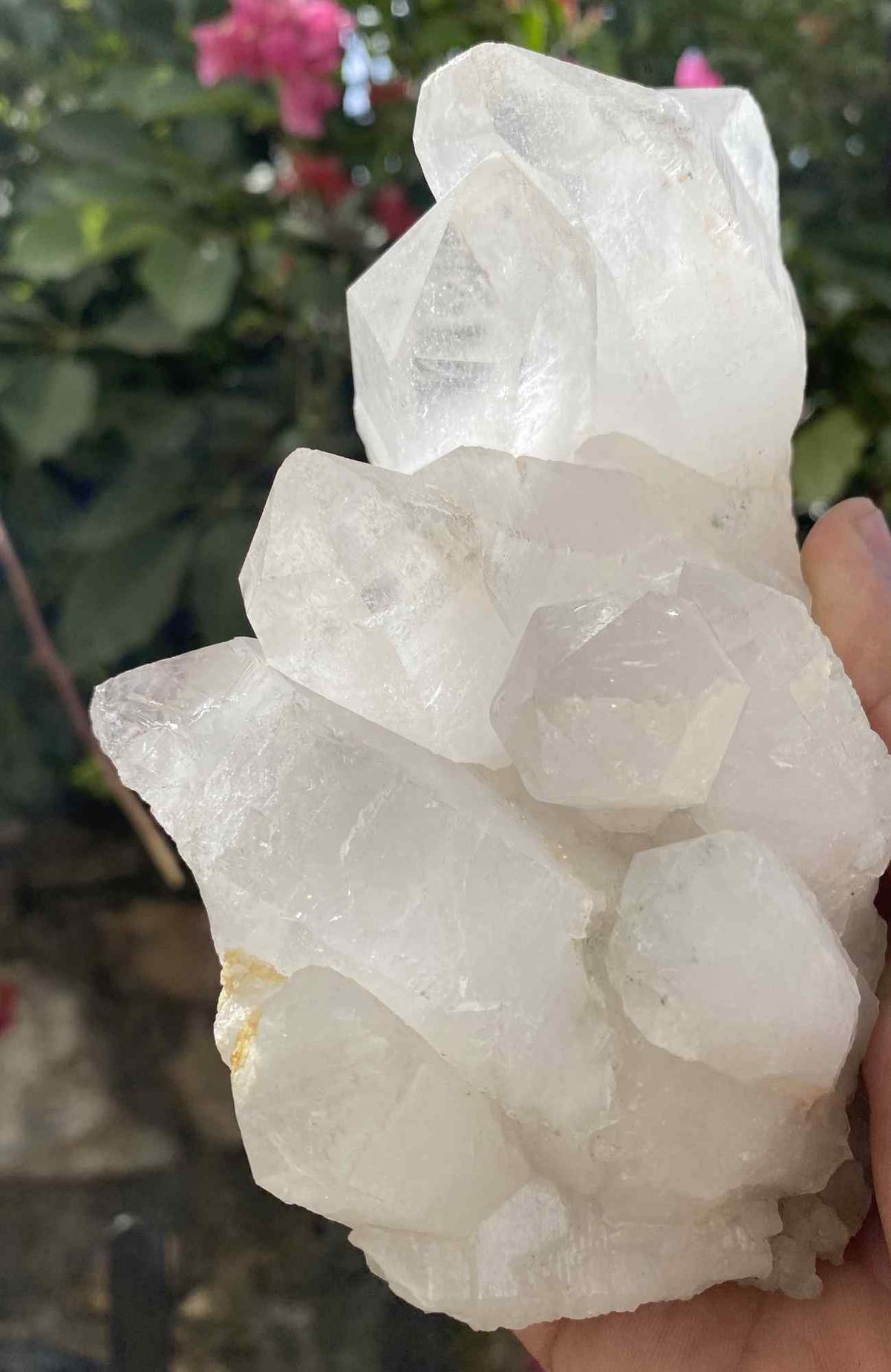 Himalaya Quartz Samadhi specimen, natural Himalayan quartz with high vibration points, raw mineral crystal, 1.95 lbs.
