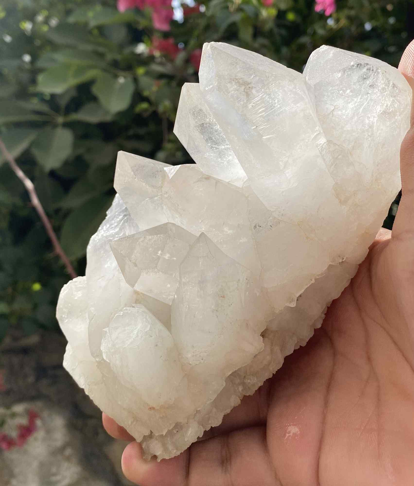 Himalayan Quartz Samadhi specimen from Himalya Quartz, natural high-vibration raw Himalayan quartz crystal, 1.95 lbs.