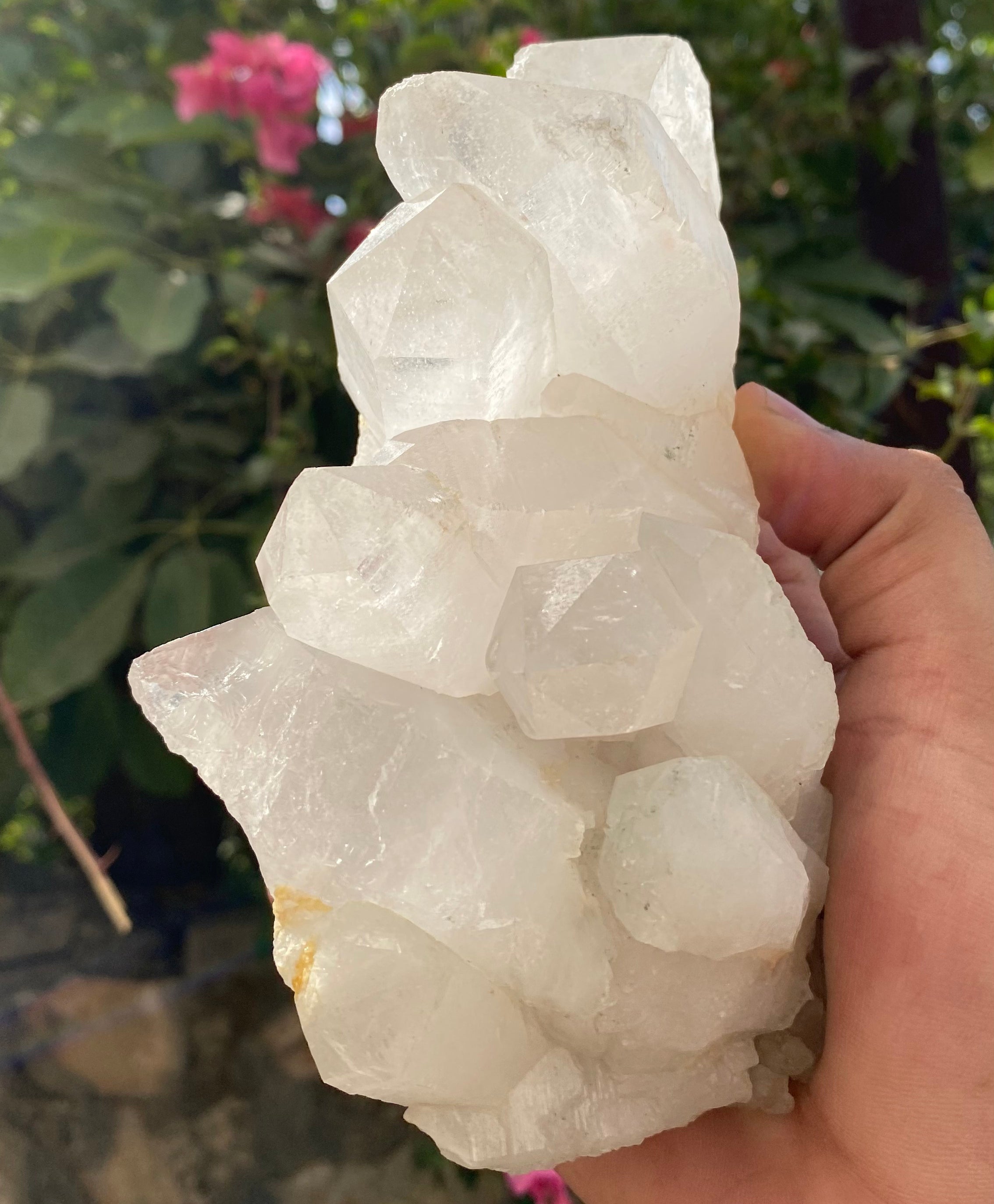 Exquisite Samadhi Quartz from Himalayas, Natural High Vibration Points 1.95 LBS Raw Specimen
