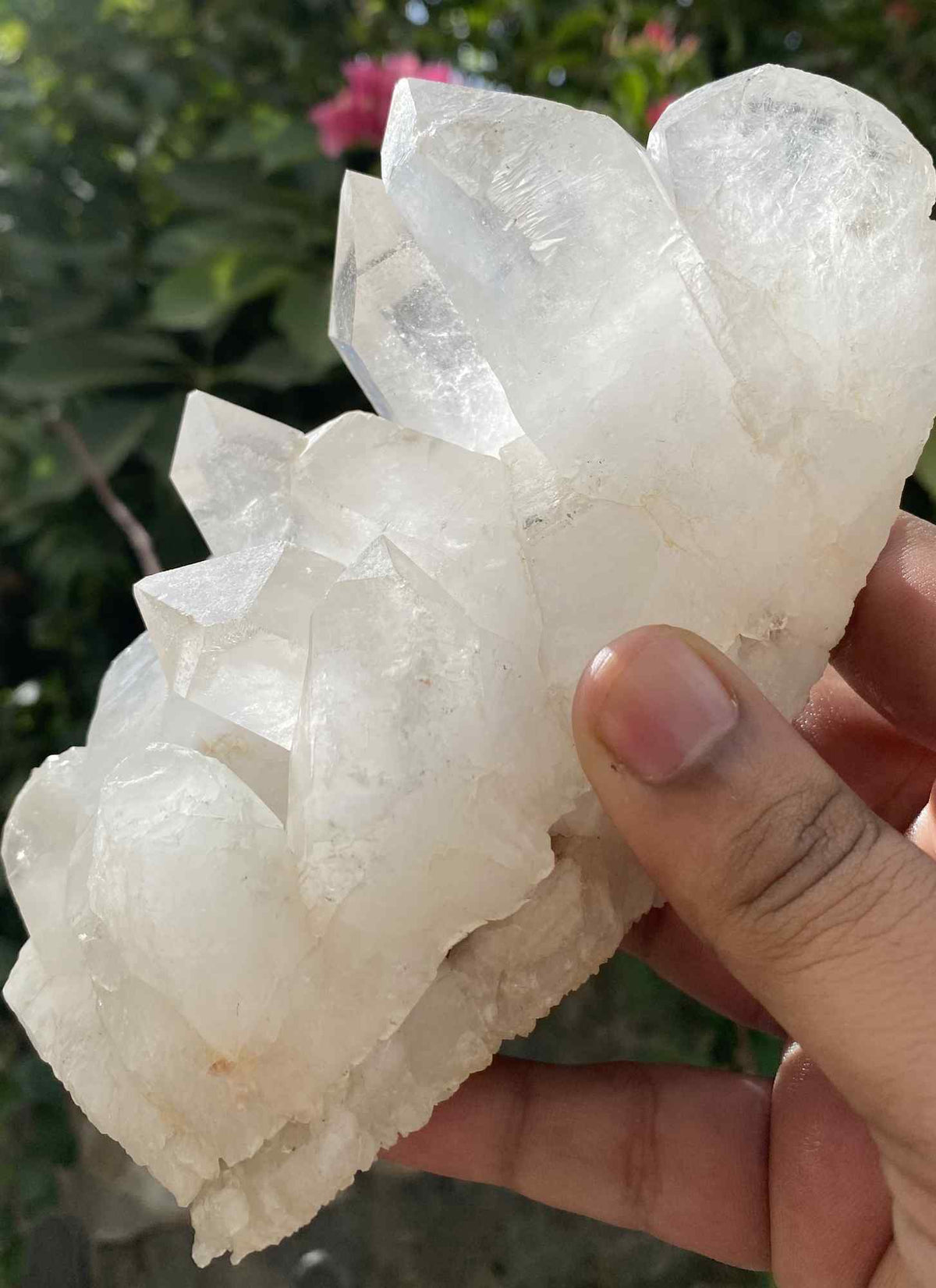 Himalaya Quartz Samadhi Himalayan Quartz specimen, raw high vibration point, 1.95 lbs, natural Himalayan mineral stone from Himalya Quartz