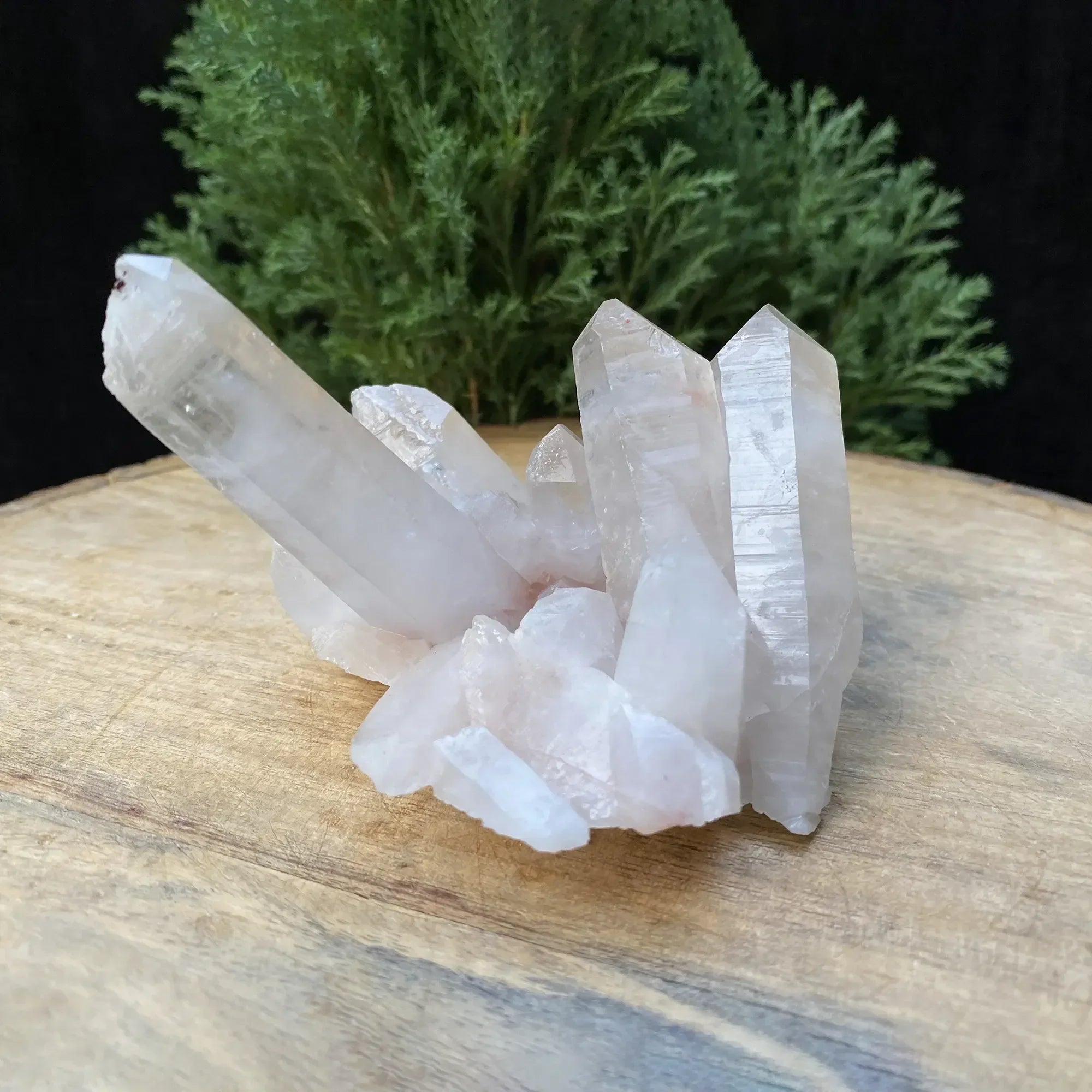 Natural Himalayan Pink Quartz Cluster 305g Himalayan Quartz