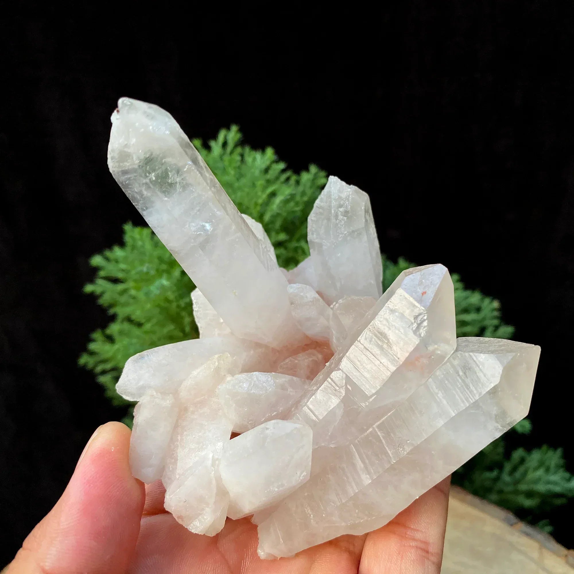 Natural Himalayan Pink Quartz Cluster 305g Himalayan Quartz