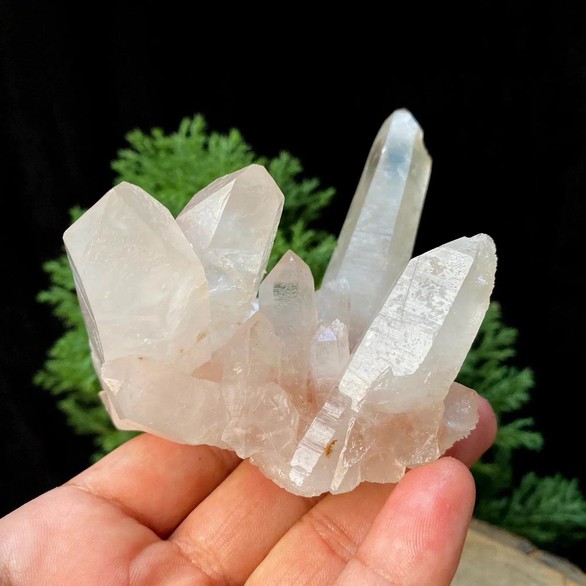Natural Himalayan Pink Quartz Cluster 305g Himalayan Quartz