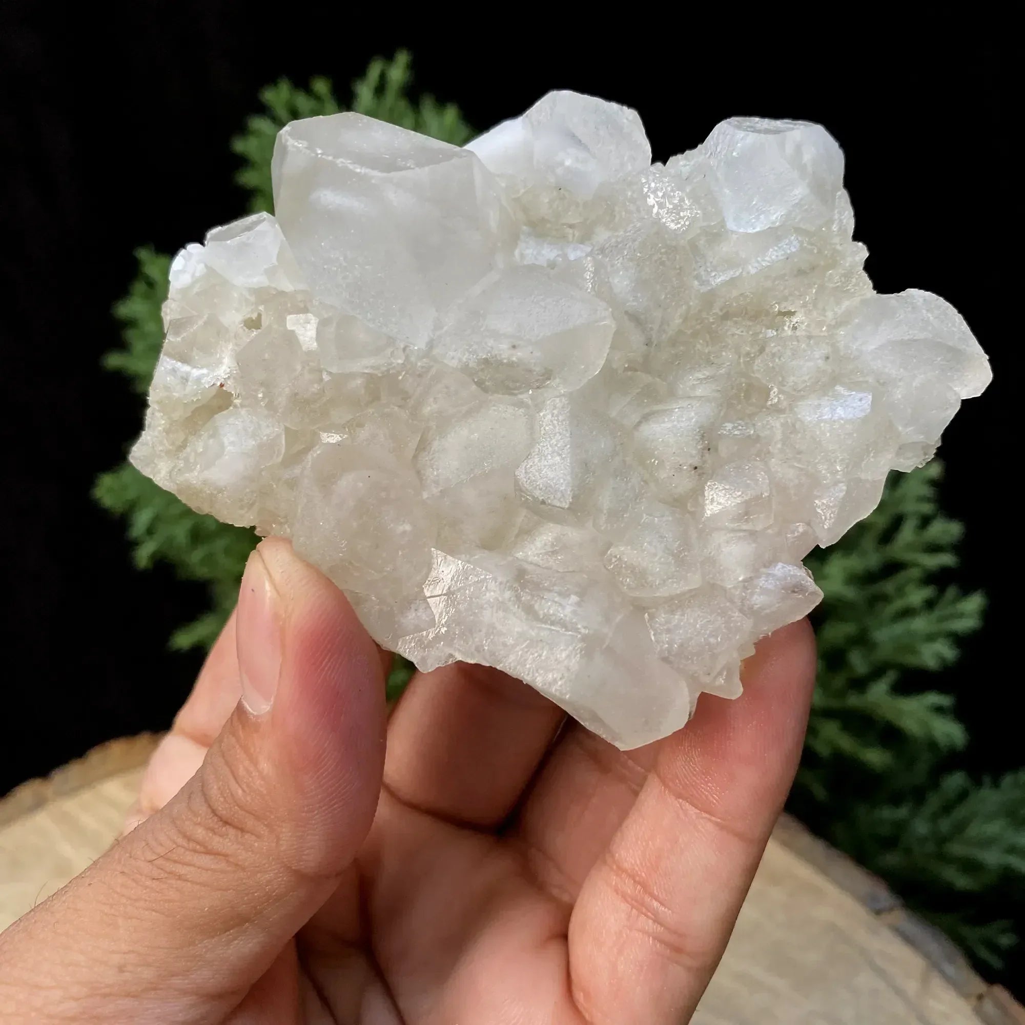 Natural Himalayan White Phantom Quartz Cluster 145g Himalayan Quartz