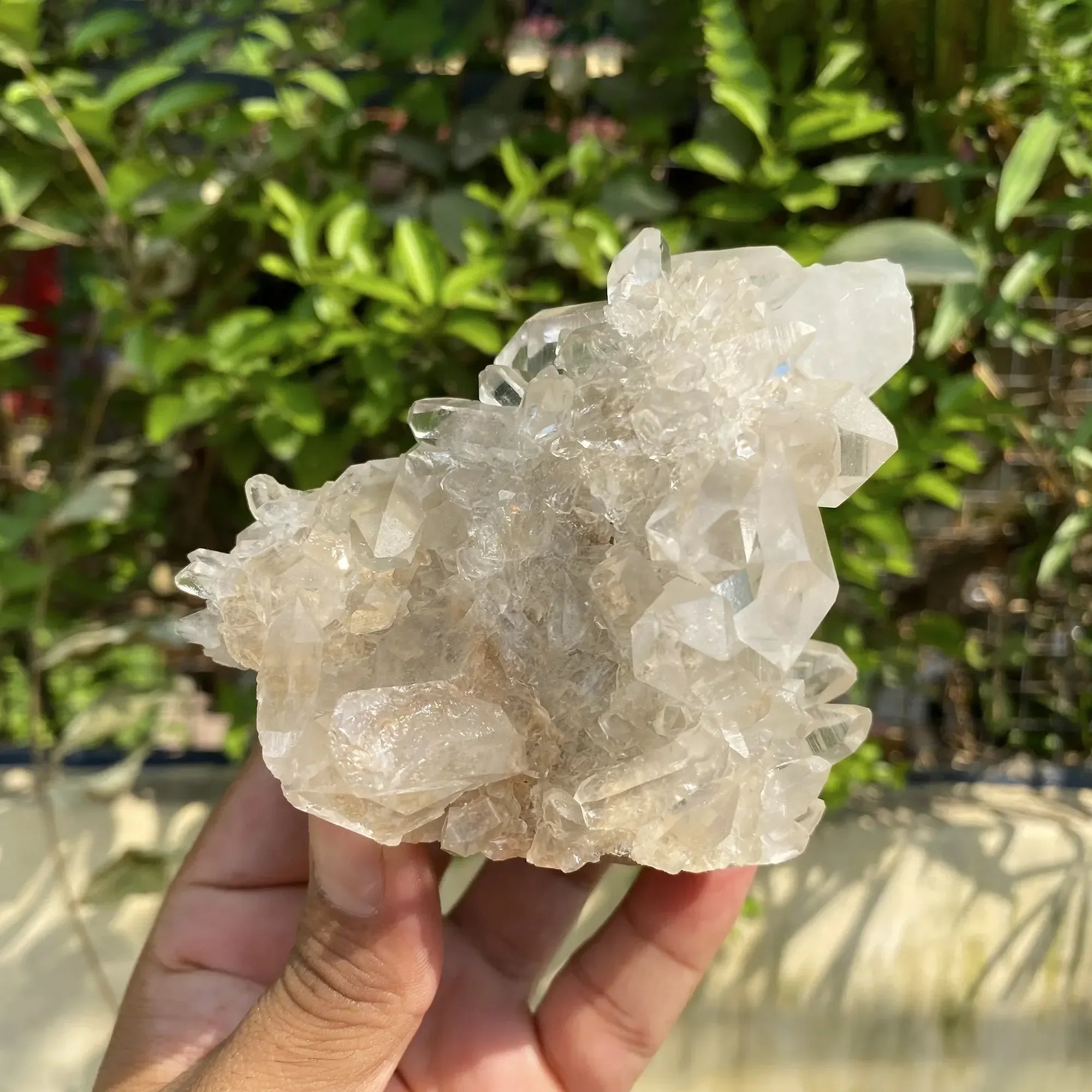 Natural Himalayan White Quartz Cluster 460g Himalayan Quartz