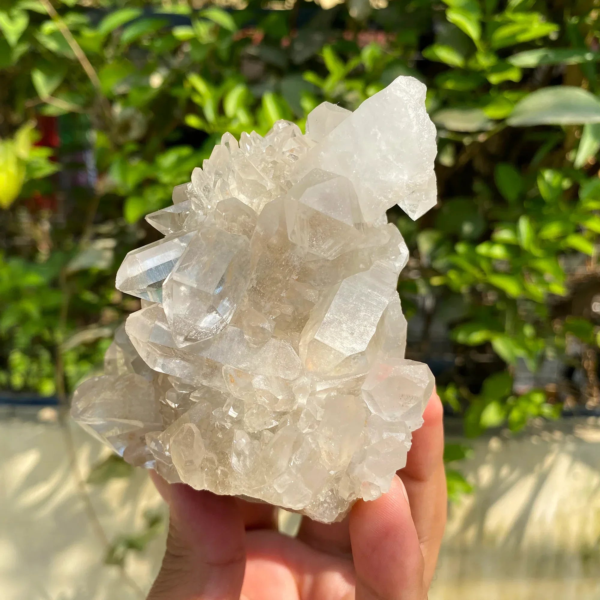 Natural Himalayan White Quartz Cluster 460g Himalayan Quartz