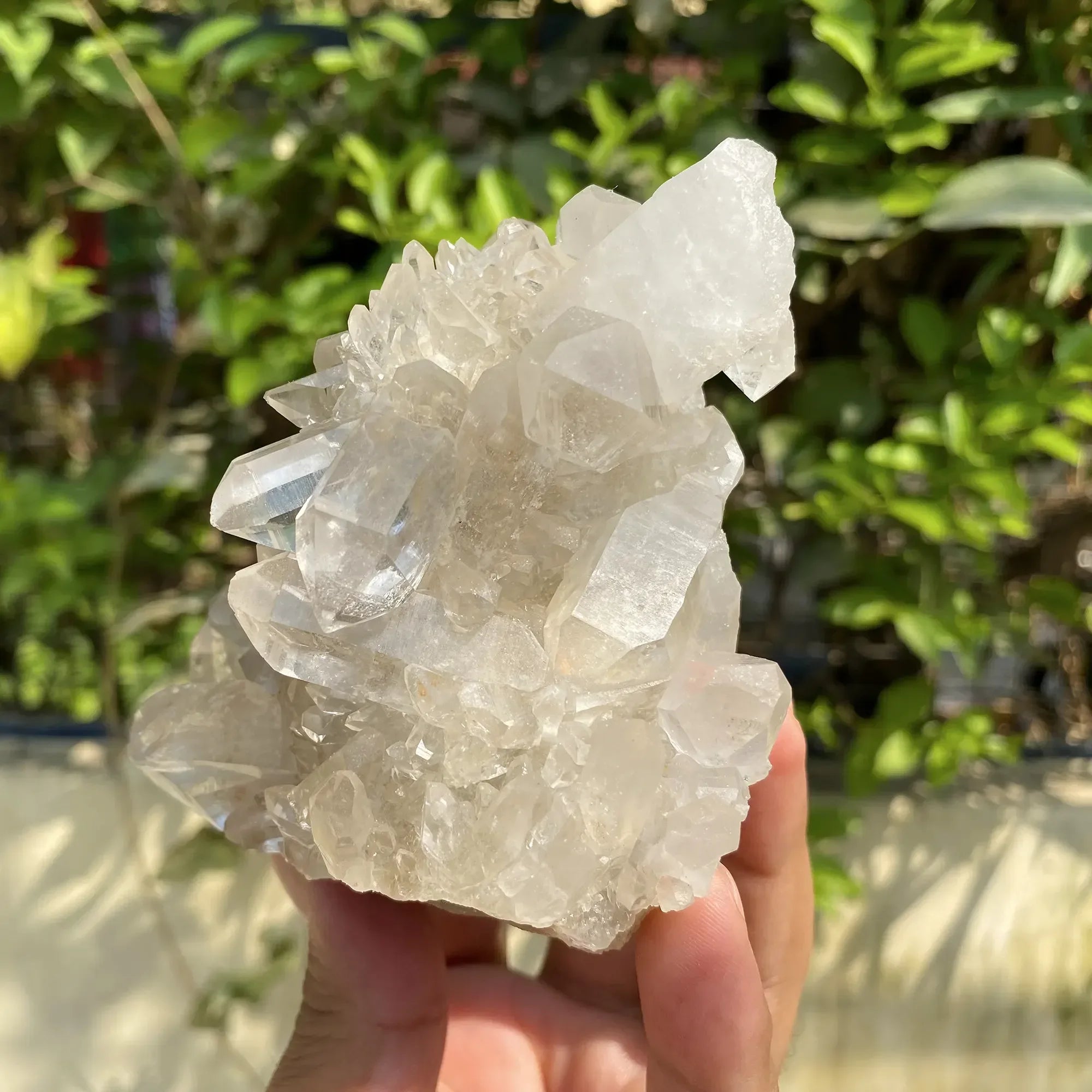 Natural Himalayan White Quartz Cluster 460g Himalayan Quartz