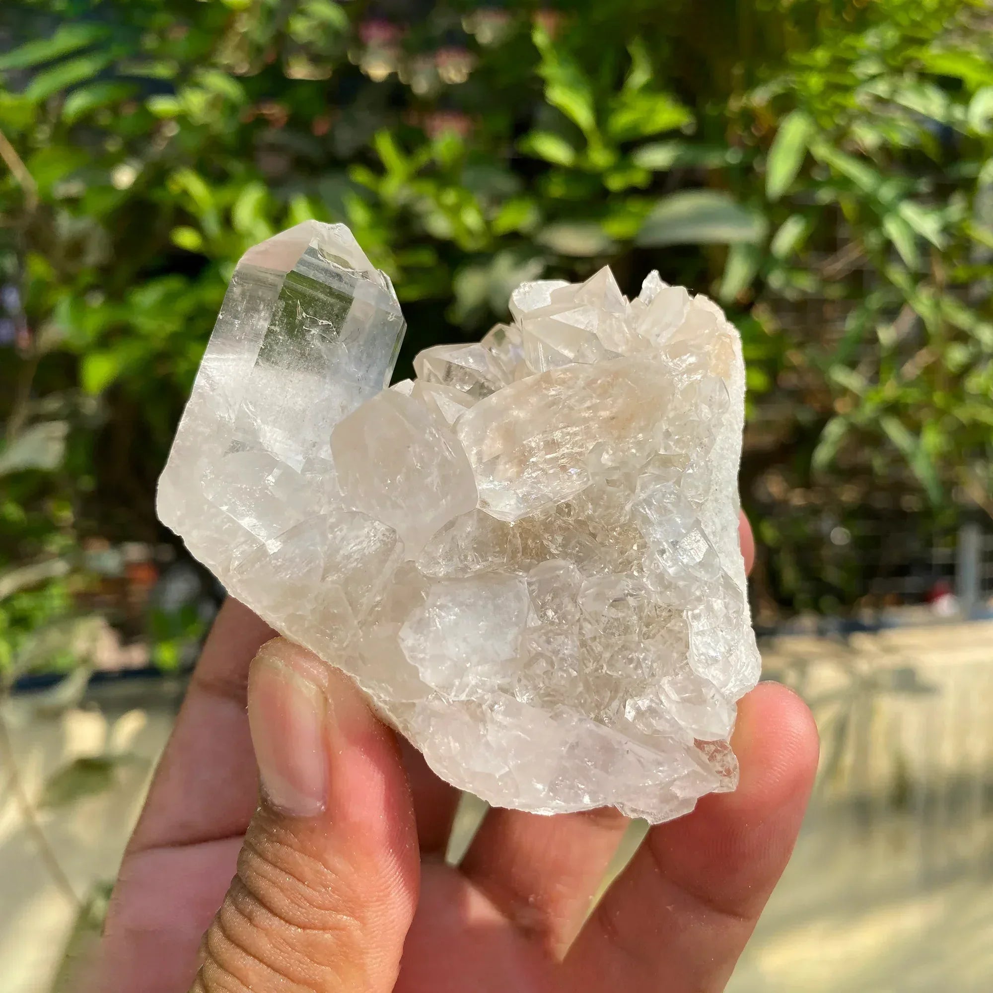 Natural Himalayan White Quartz Cluster 195g Himalayan Quartz