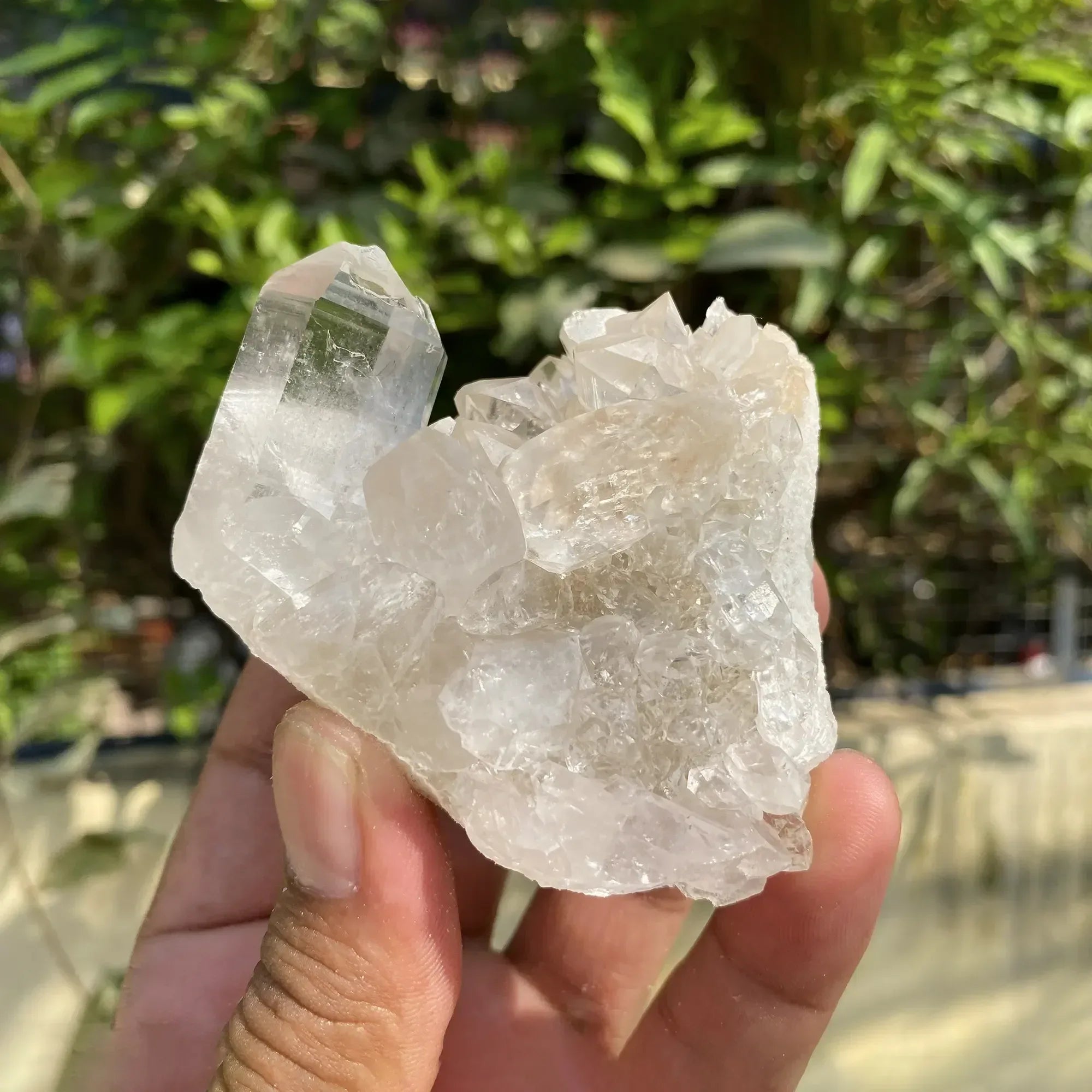 Natural Himalayan White Quartz Cluster 195g Himalayan Quartz