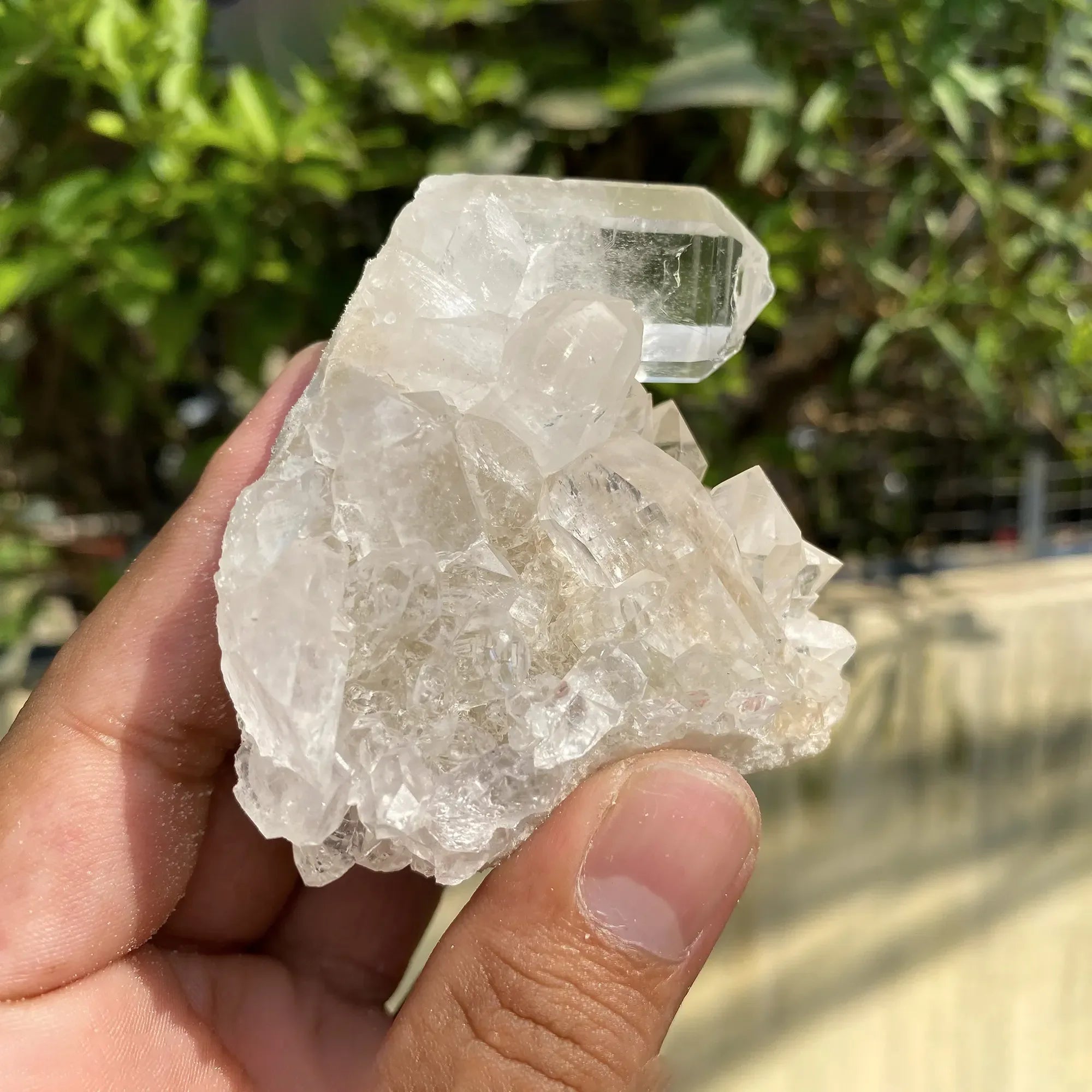 Natural Himalayan White Quartz Cluster 195g Himalayan Quartz