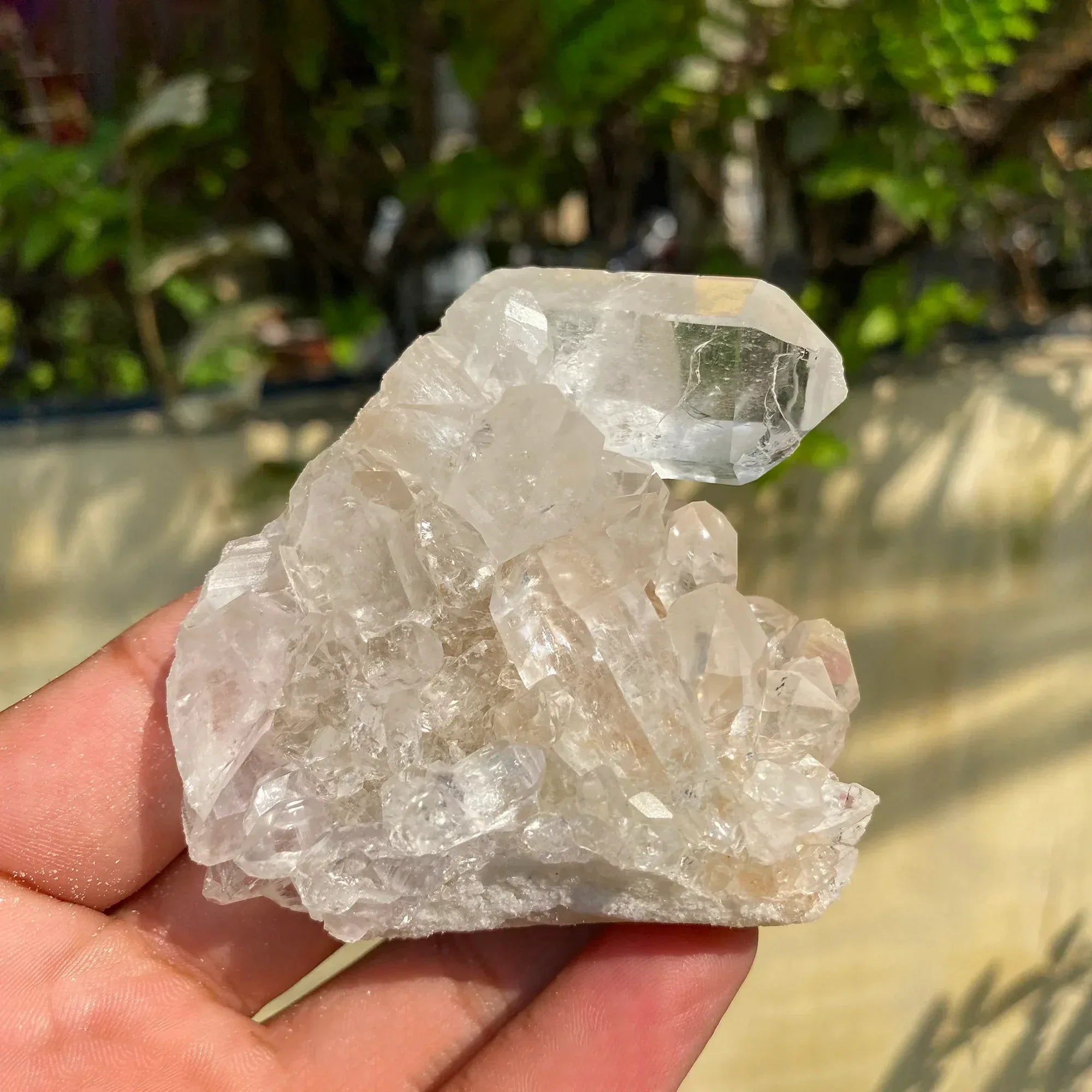 Natural Himalayan White Quartz Cluster 195g Himalayan Quartz