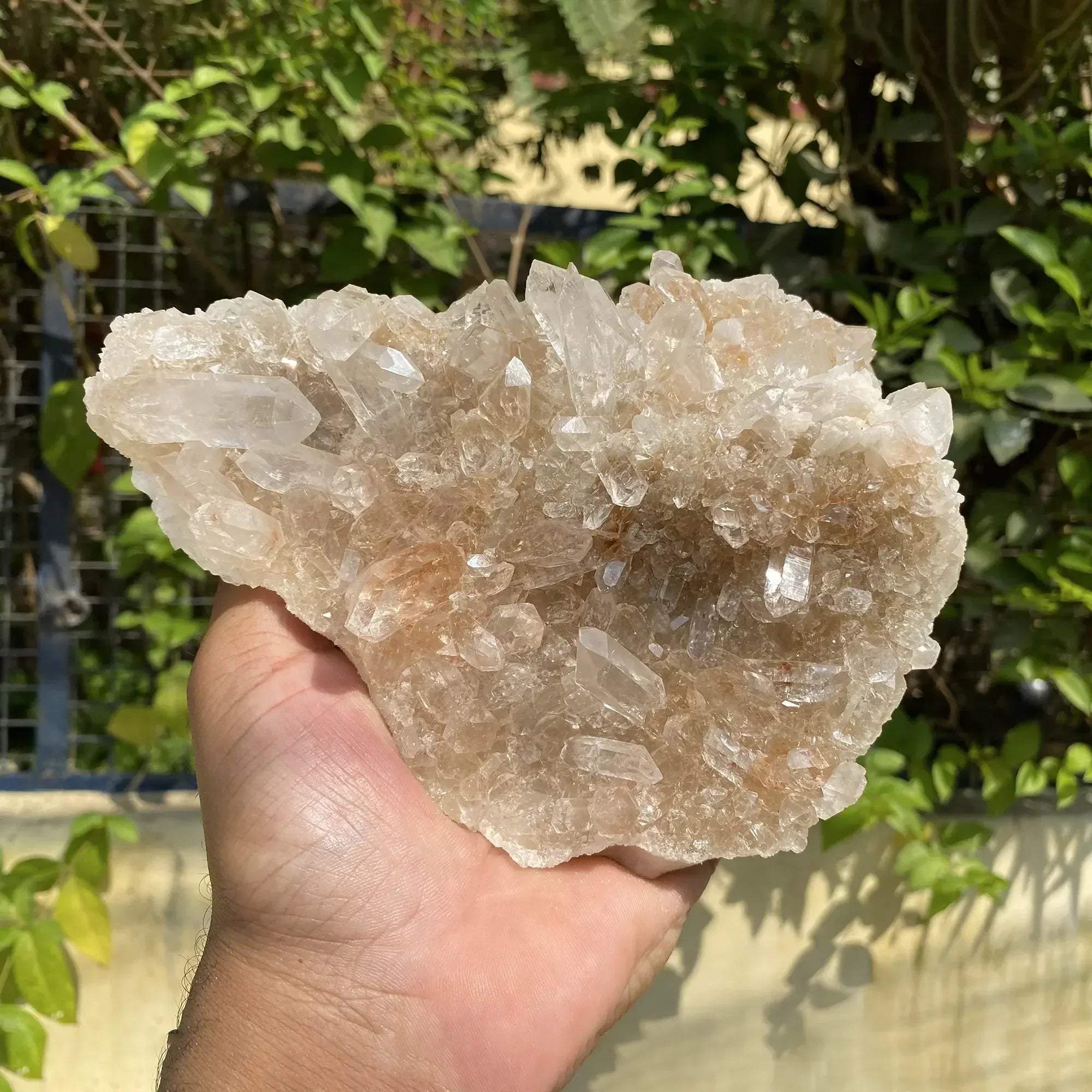 Natural Himalayan Pink Quartz Cluster 1440g Himalayan Quartz
