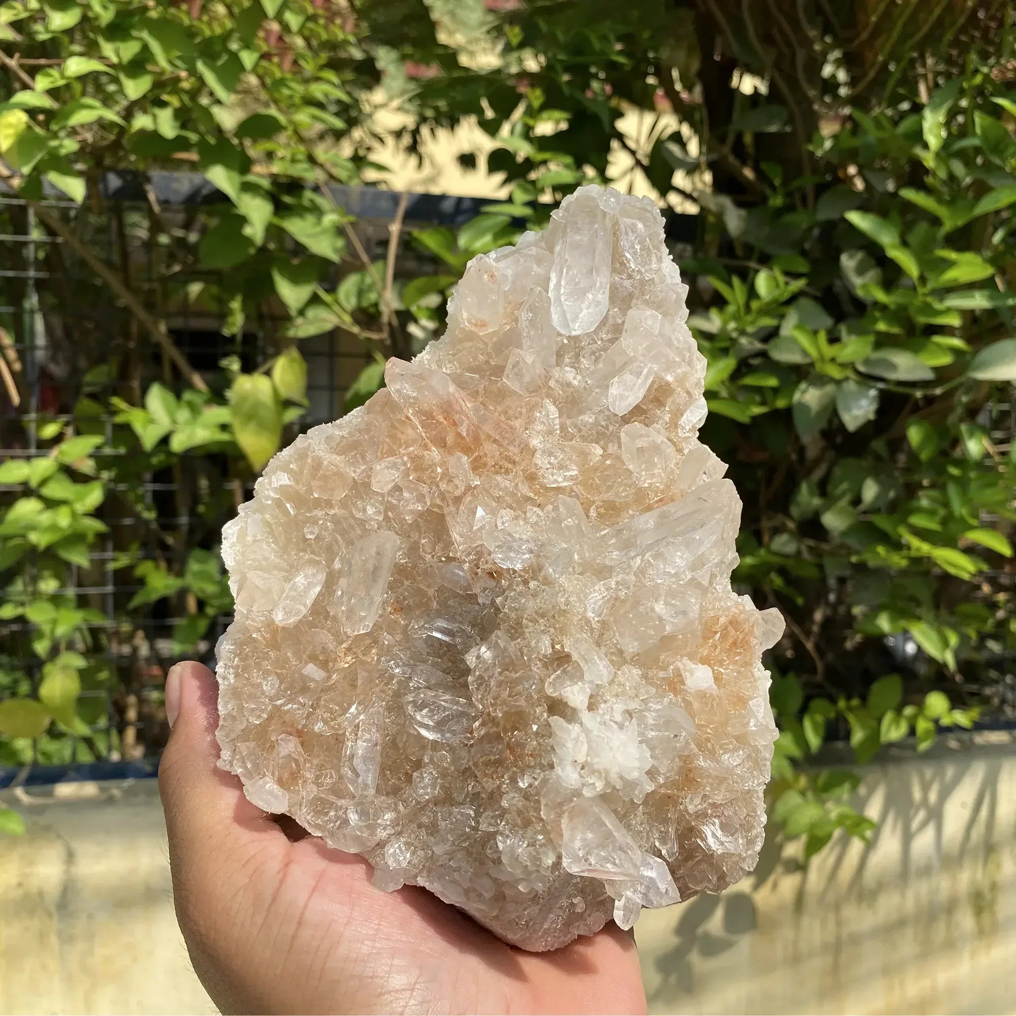 Natural Himalayan Pink Quartz Cluster 1440g Himalayan Quartz