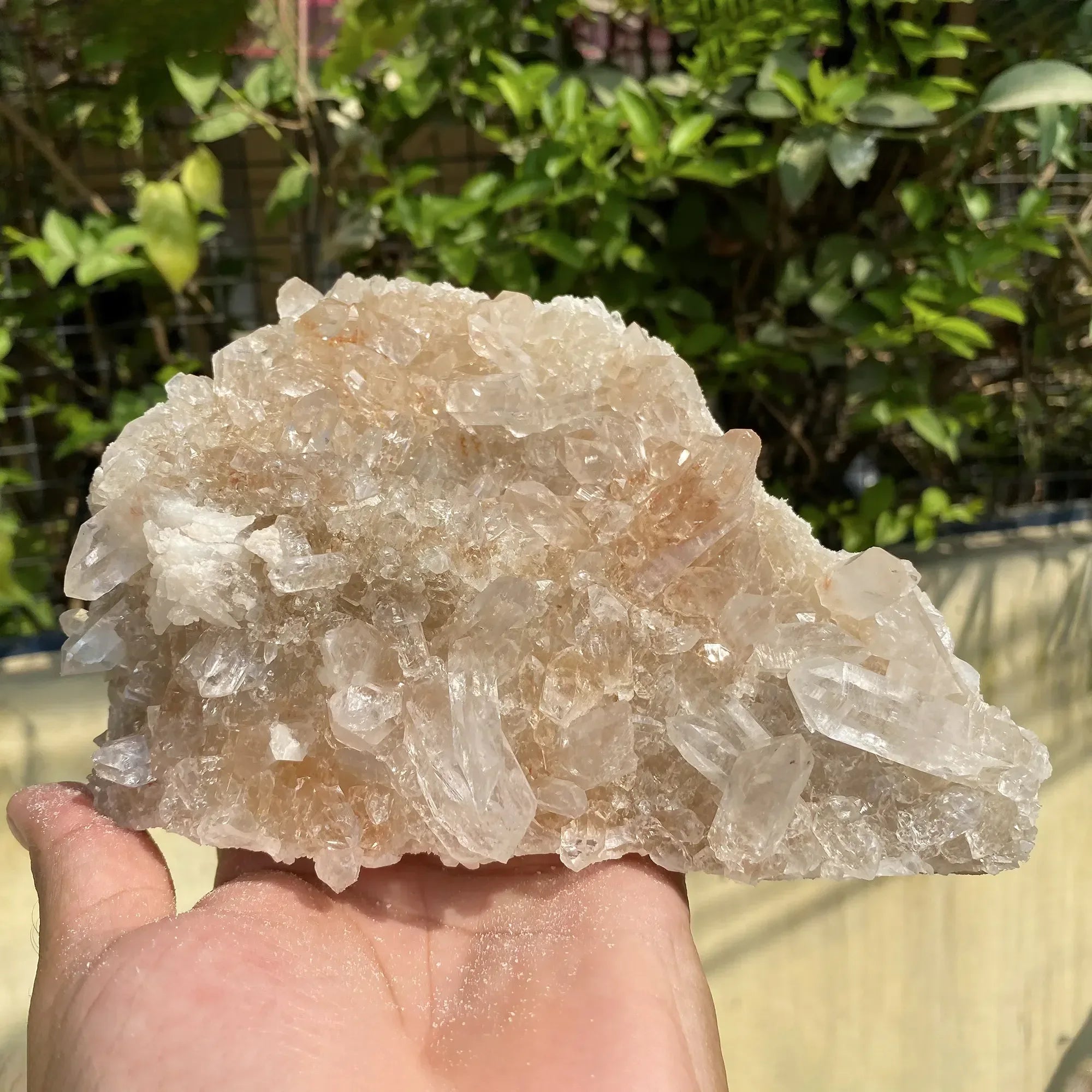 Natural Himalayan Pink Quartz Cluster 1440g Himalayan Quartz