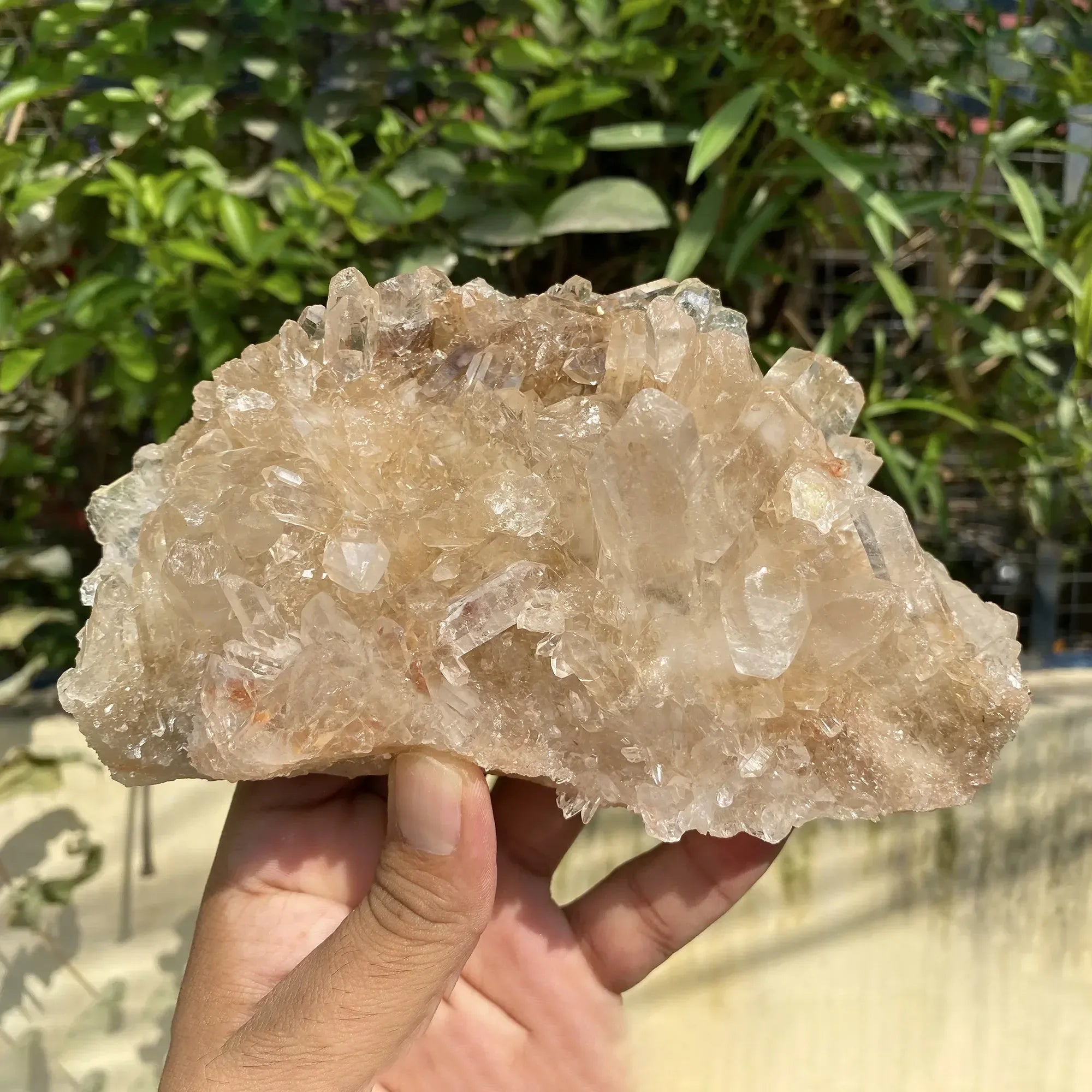Natural Himalayan Pink Quartz Cluster 940g Himalayan Quartz
