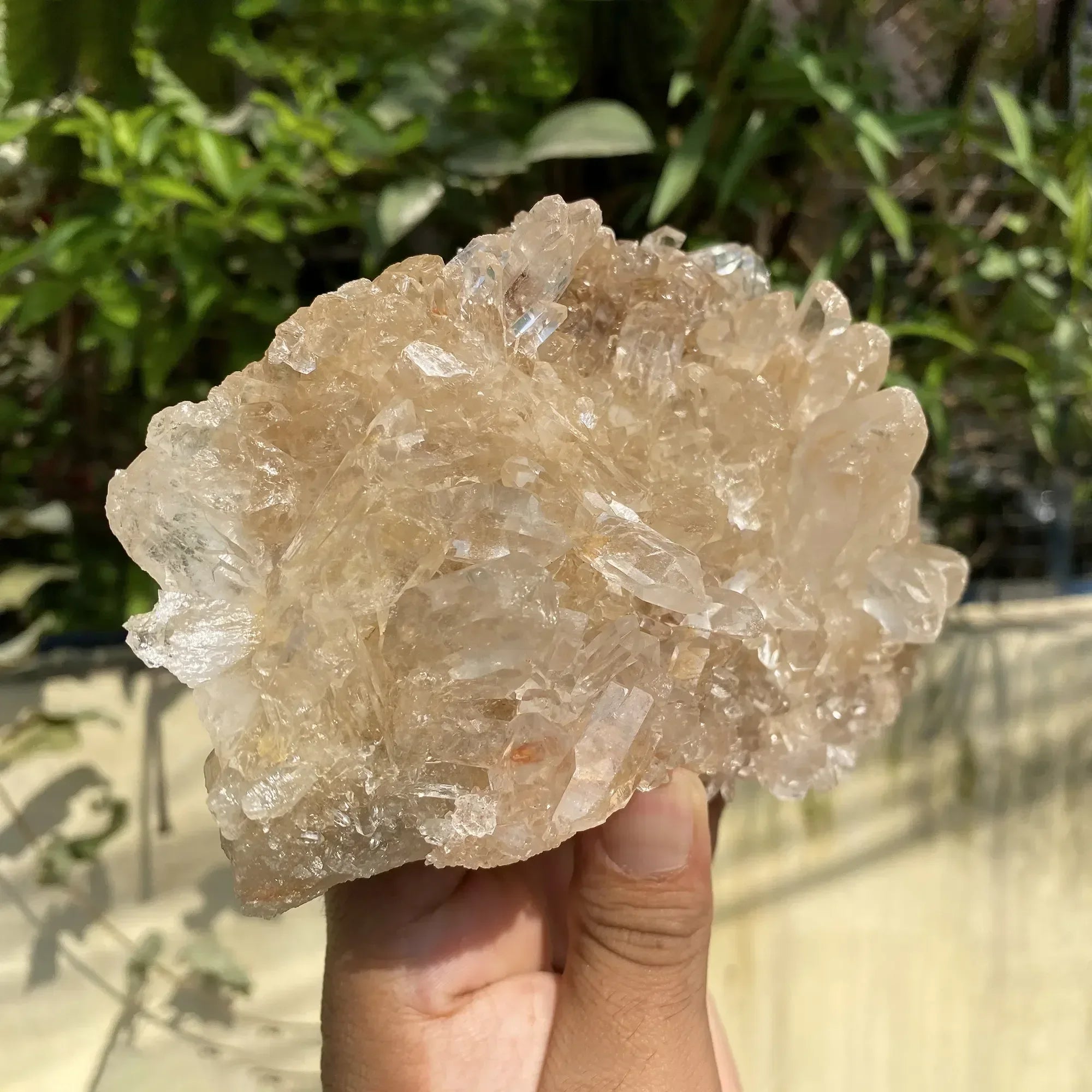 Natural Himalayan Pink Quartz Cluster 940g Himalayan Quartz