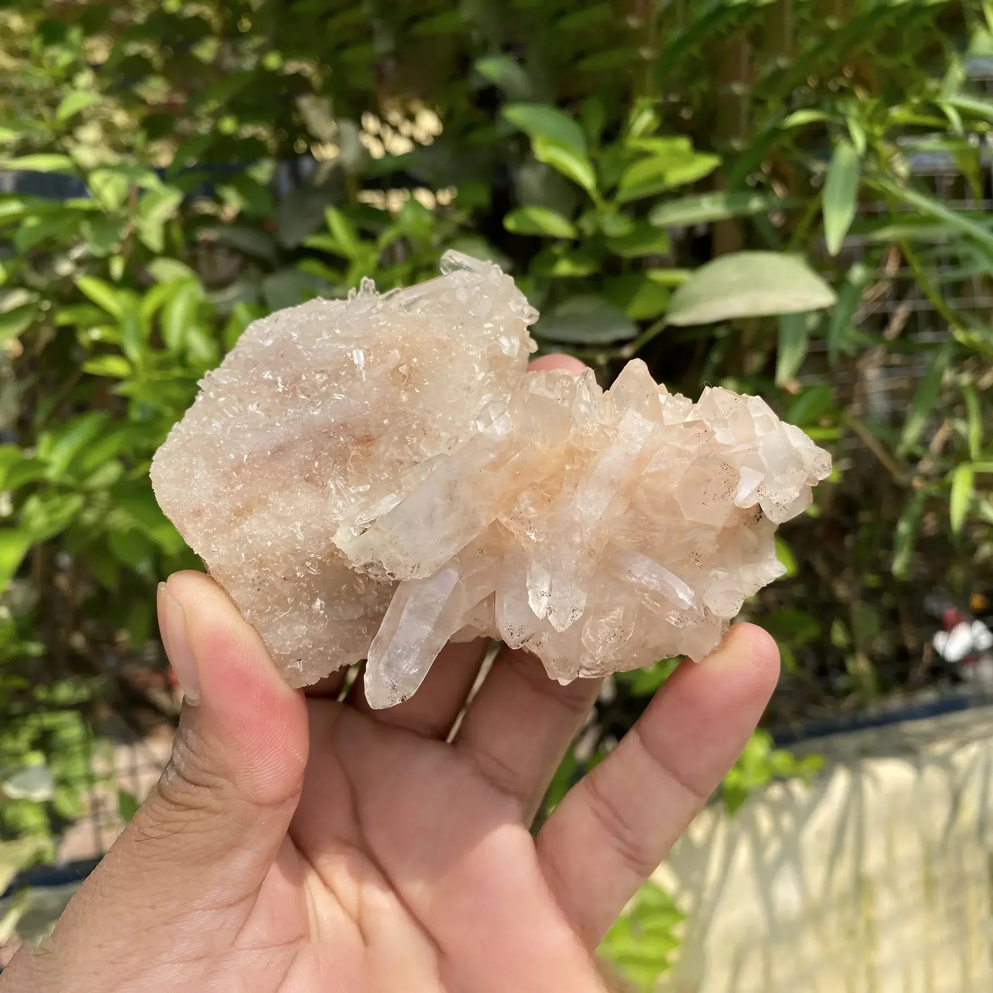 Natural Himalayan Pink Quartz Cluster 245g Himalayan Quartz