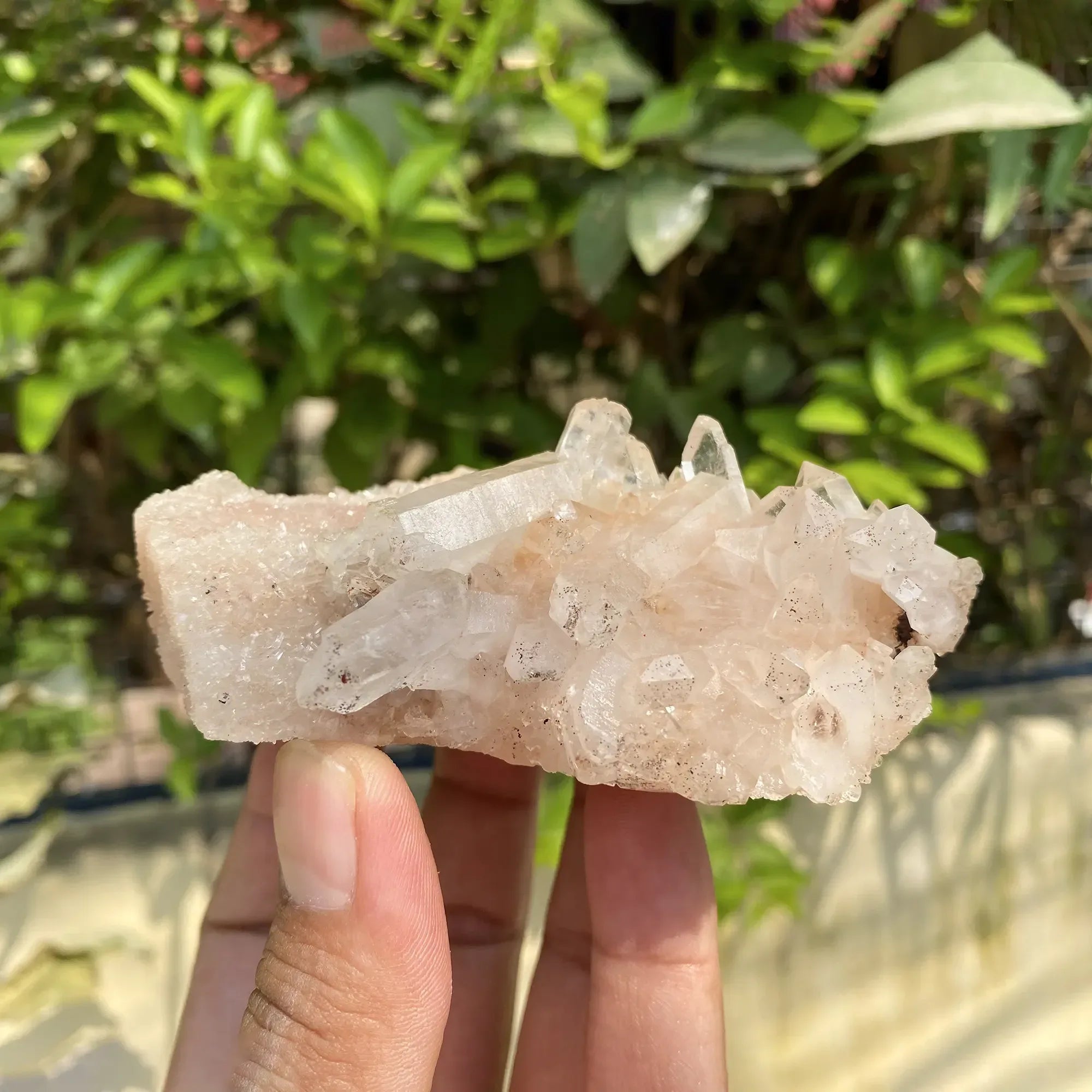 Natural Himalayan Pink Quartz Cluster 245g Himalayan Quartz