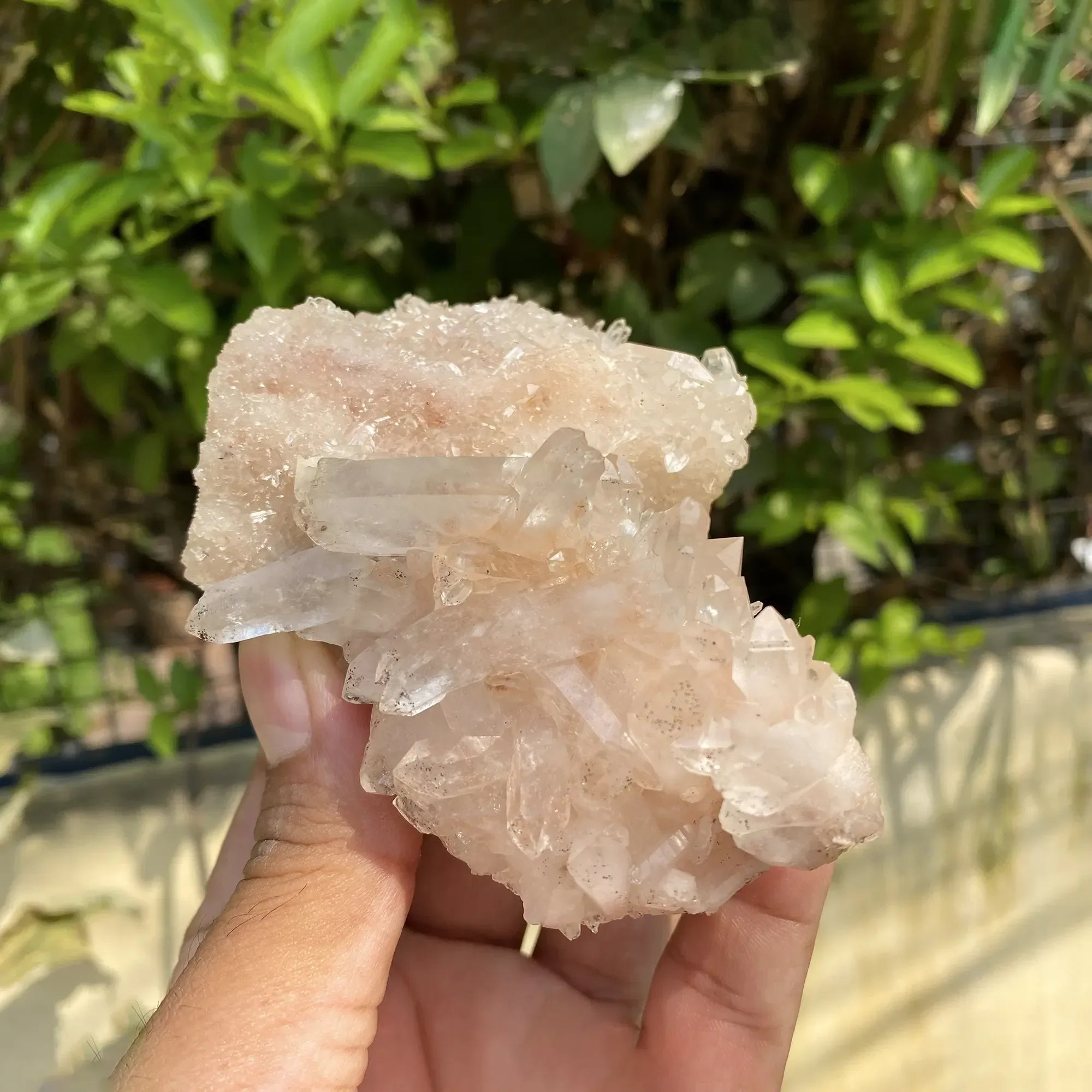 Natural Himalayan Pink Quartz Cluster 245g Himalayan Quartz