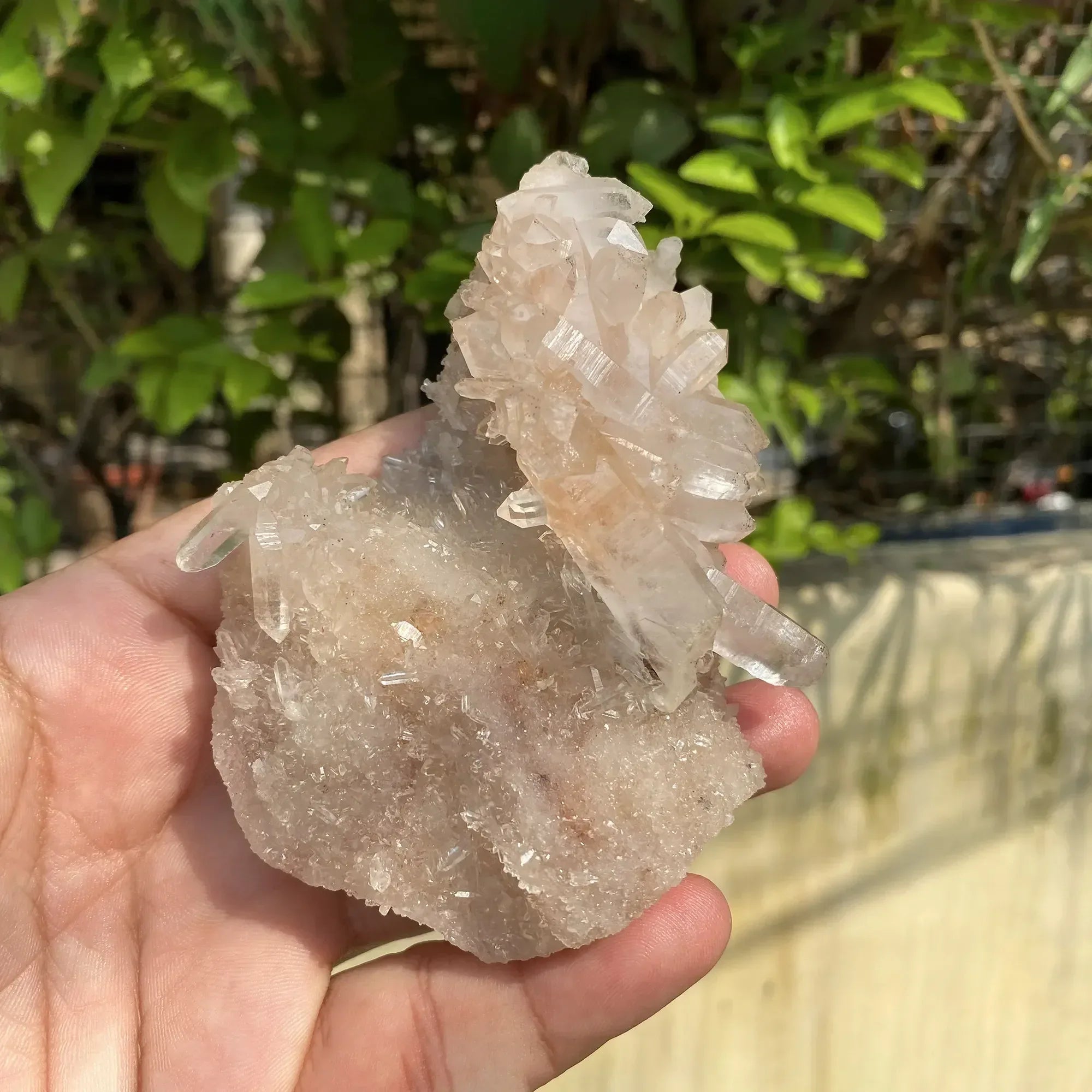 Natural Himalayan Pink Quartz Cluster 245g Himalayan Quartz