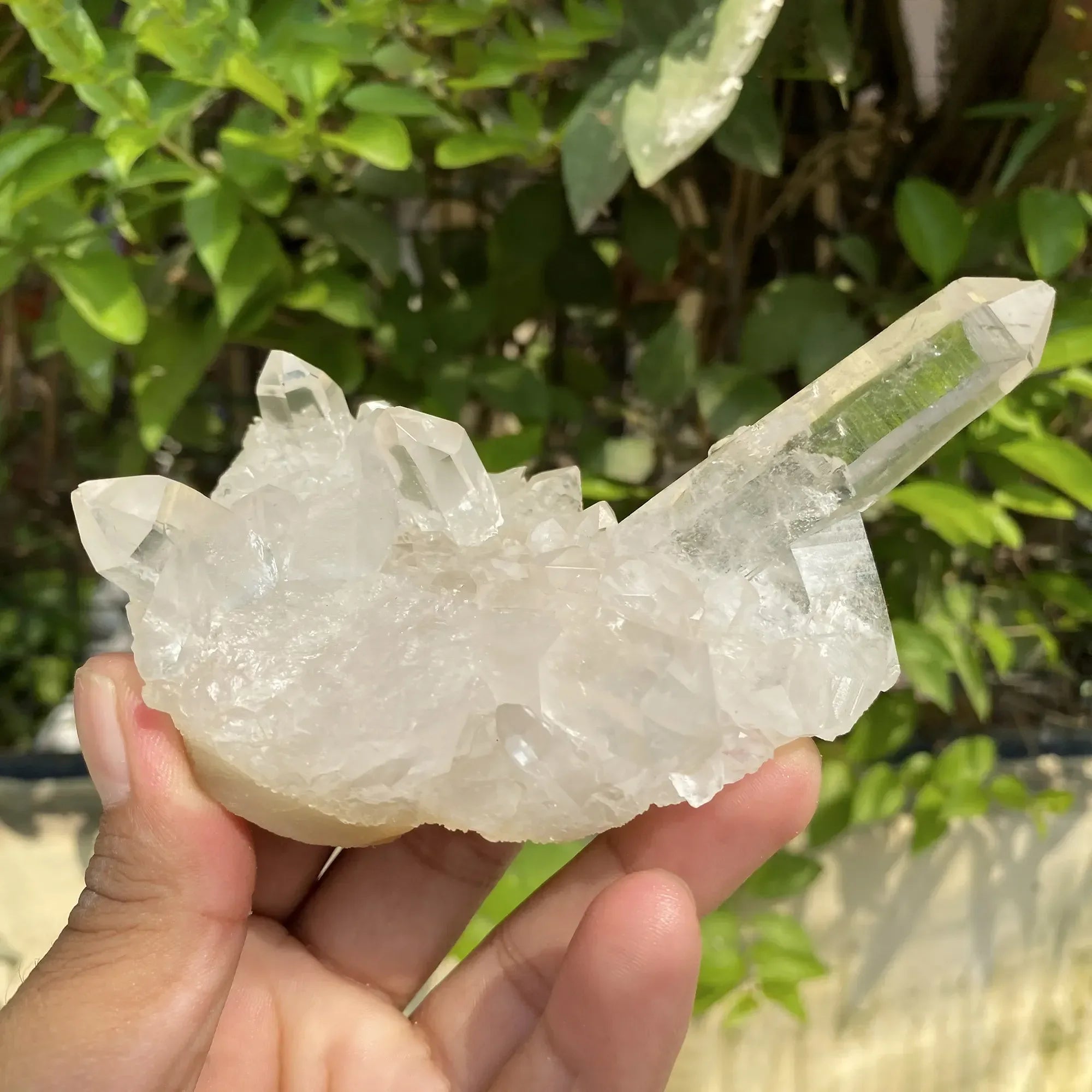 Natural Himalayan White Quartz Cluster 285g Himalayan Quartz