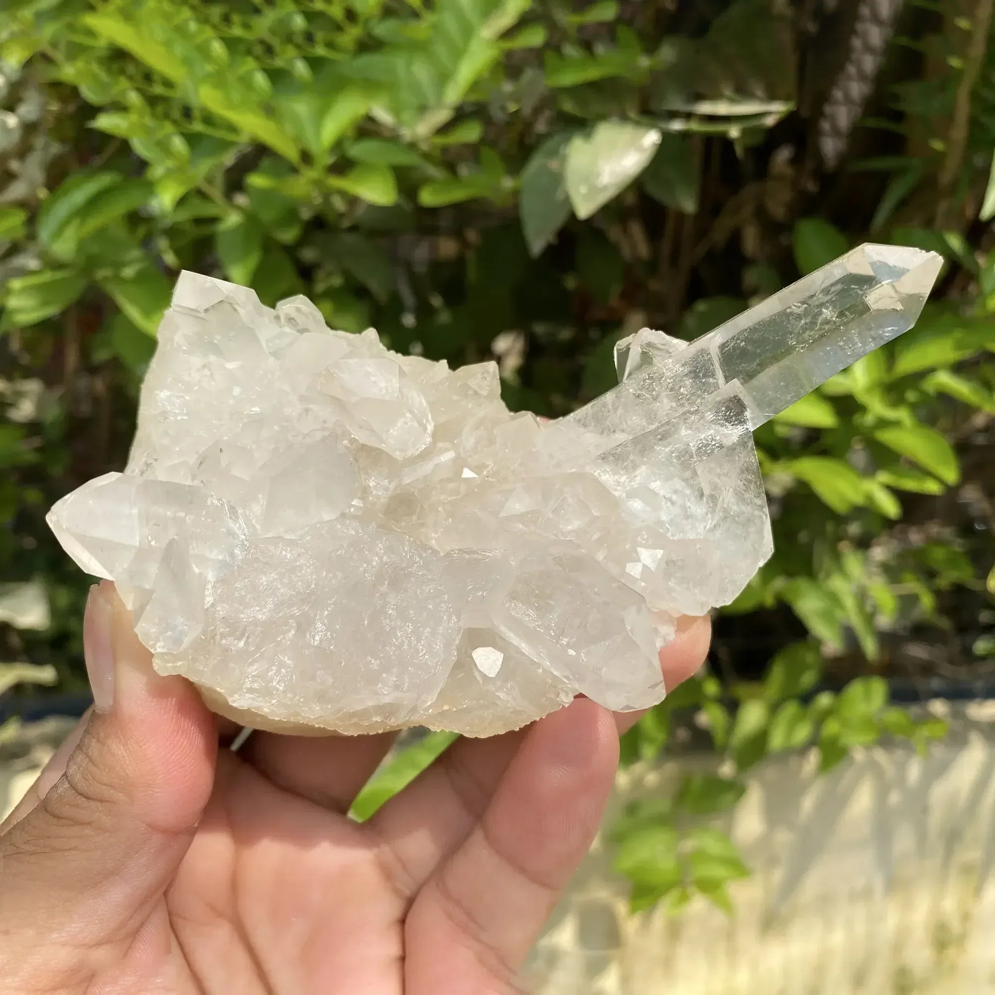 Natural Himalayan White Quartz Cluster 285g Himalayan Quartz