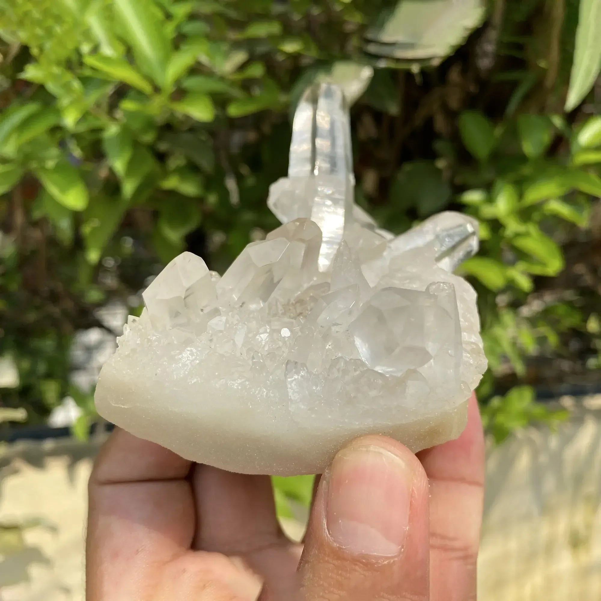Natural Himalayan White Quartz Cluster 285g Himalayan Quartz