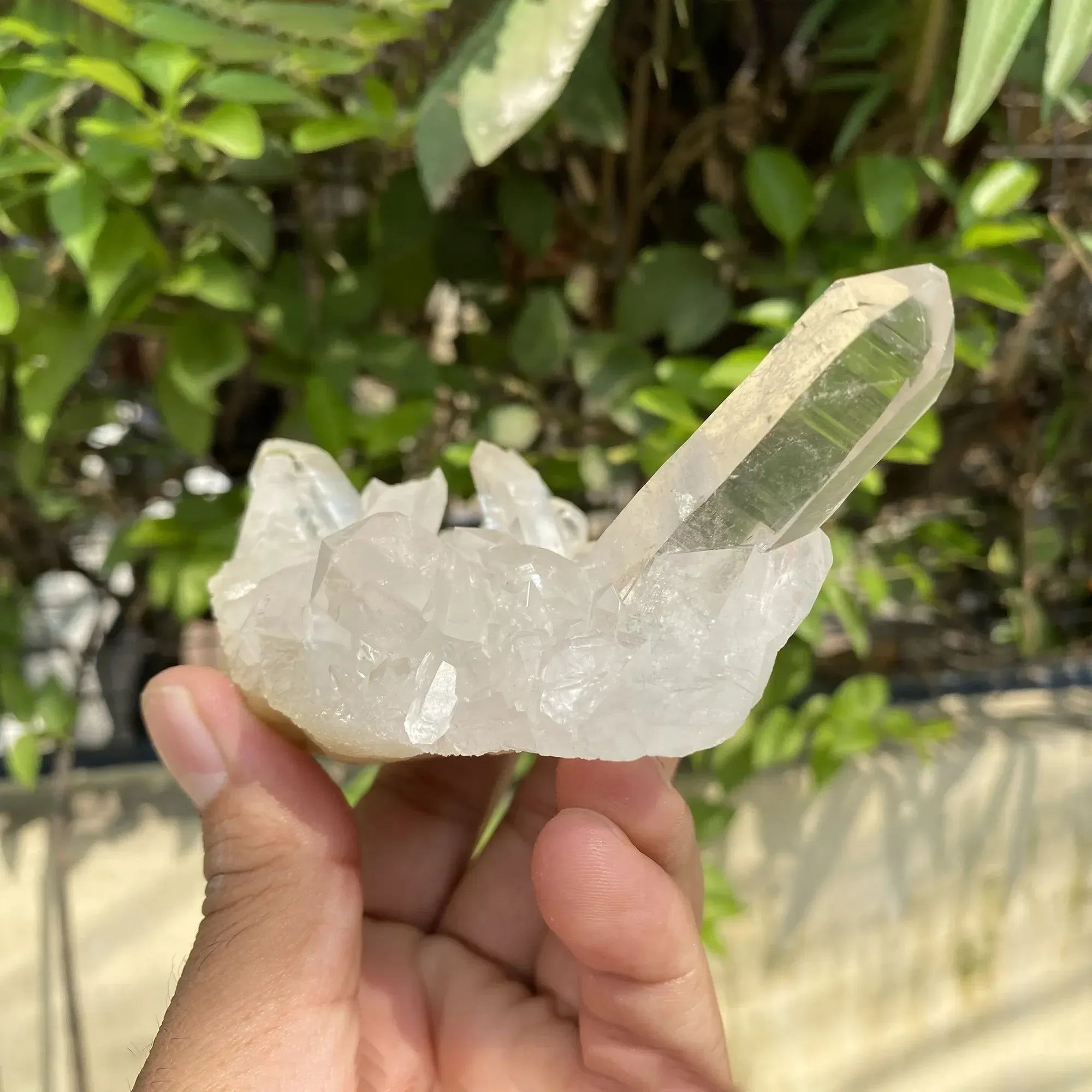 Natural Himalayan White Quartz Cluster 285g Himalayan Quartz