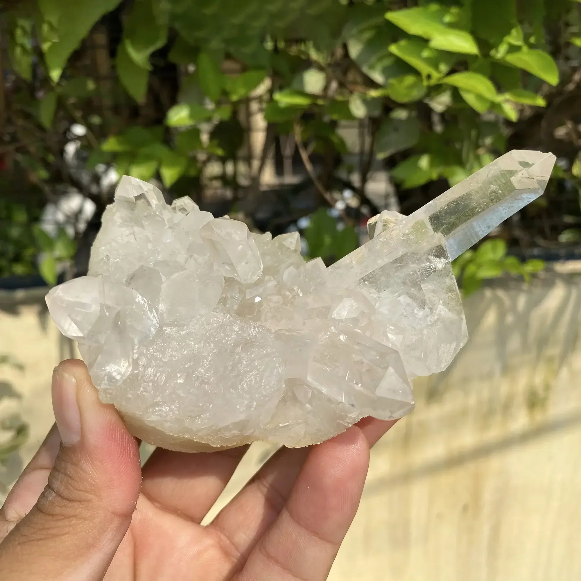 Natural Himalayan White Quartz Cluster 285g Himalayan Quartz
