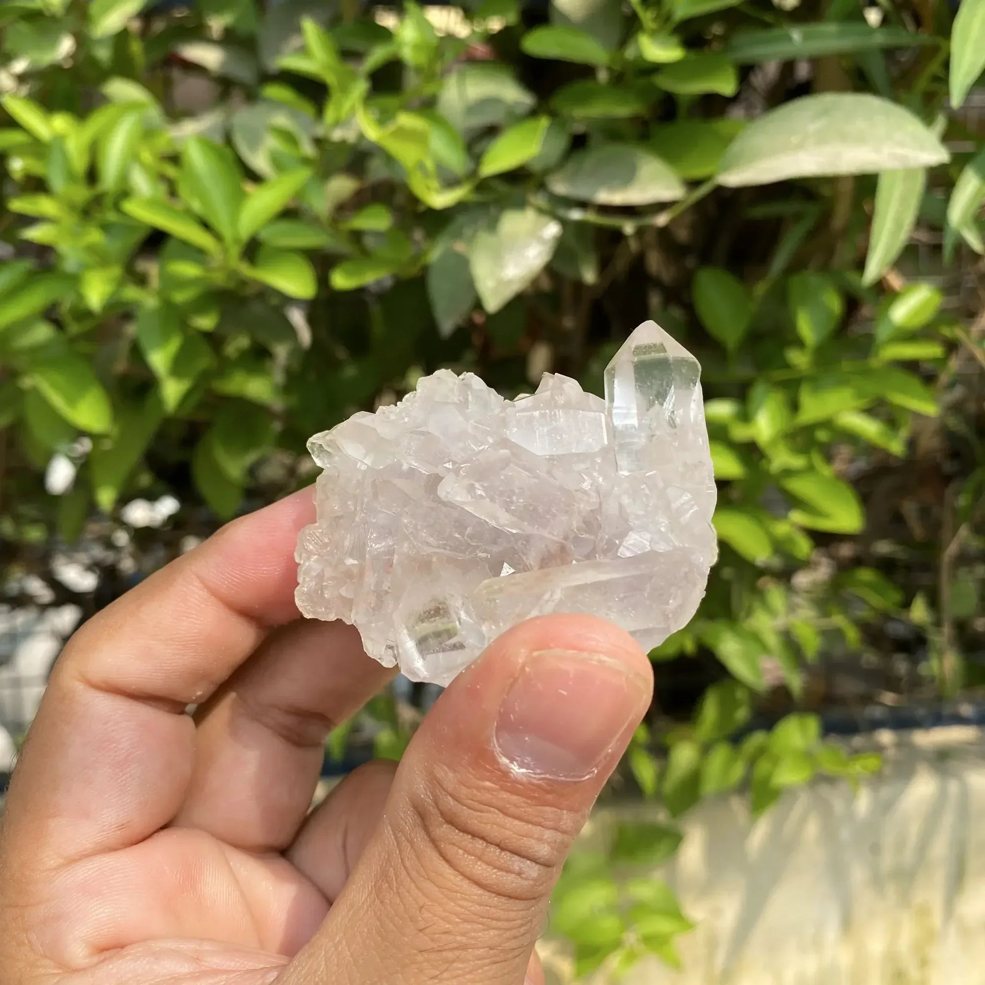Natural Himalayan White Quartz Cluster 95g Himalayan Quartz