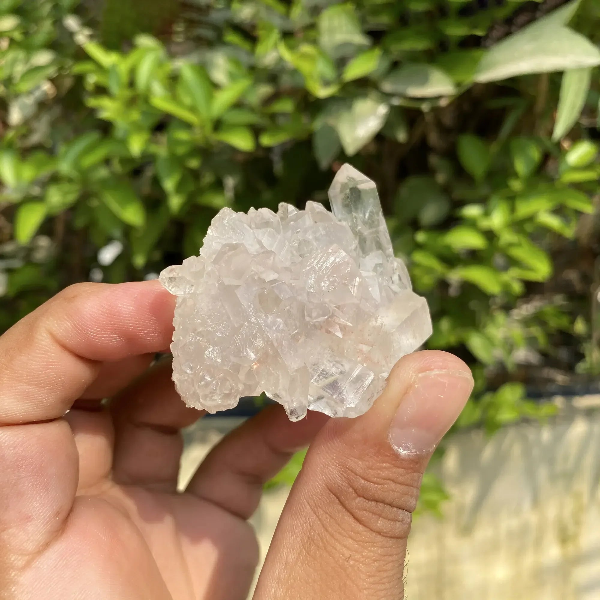 Natural Himalayan White Quartz Cluster 95g Himalayan Quartz