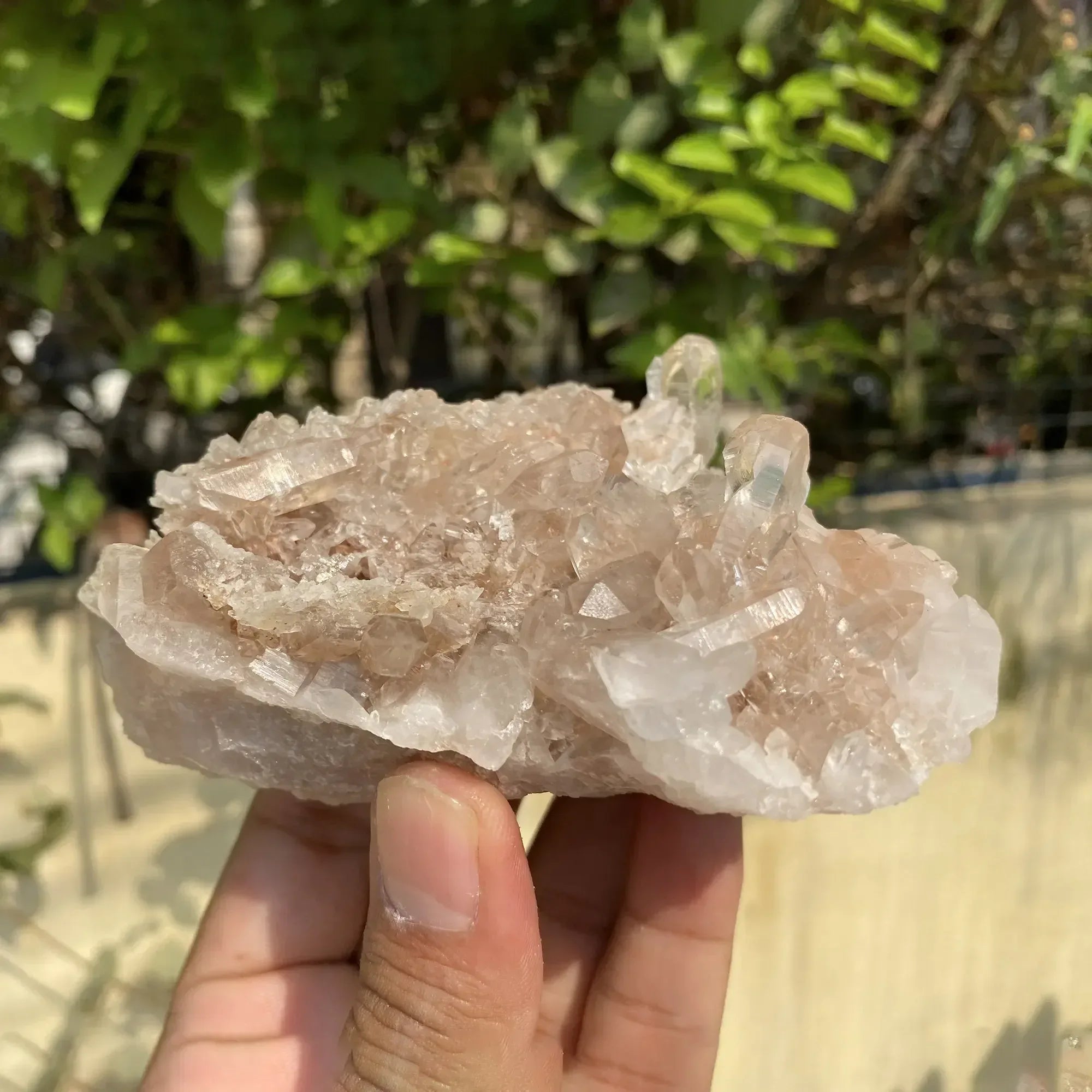 Natural Himalayan Pink Quartz Cluster 355g Himalayan Quartz