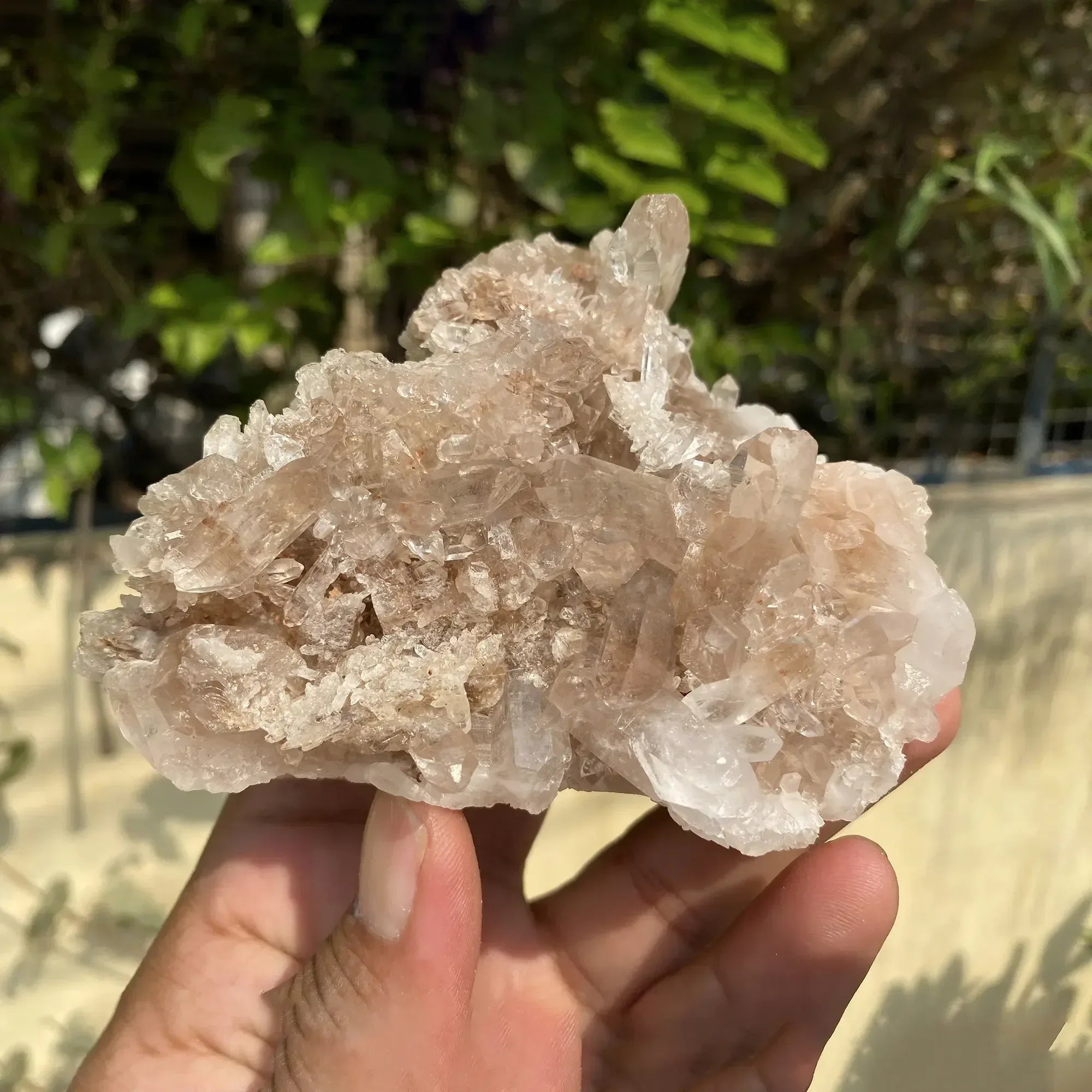 Natural Himalayan Pink Quartz Cluster 355g Himalayan Quartz