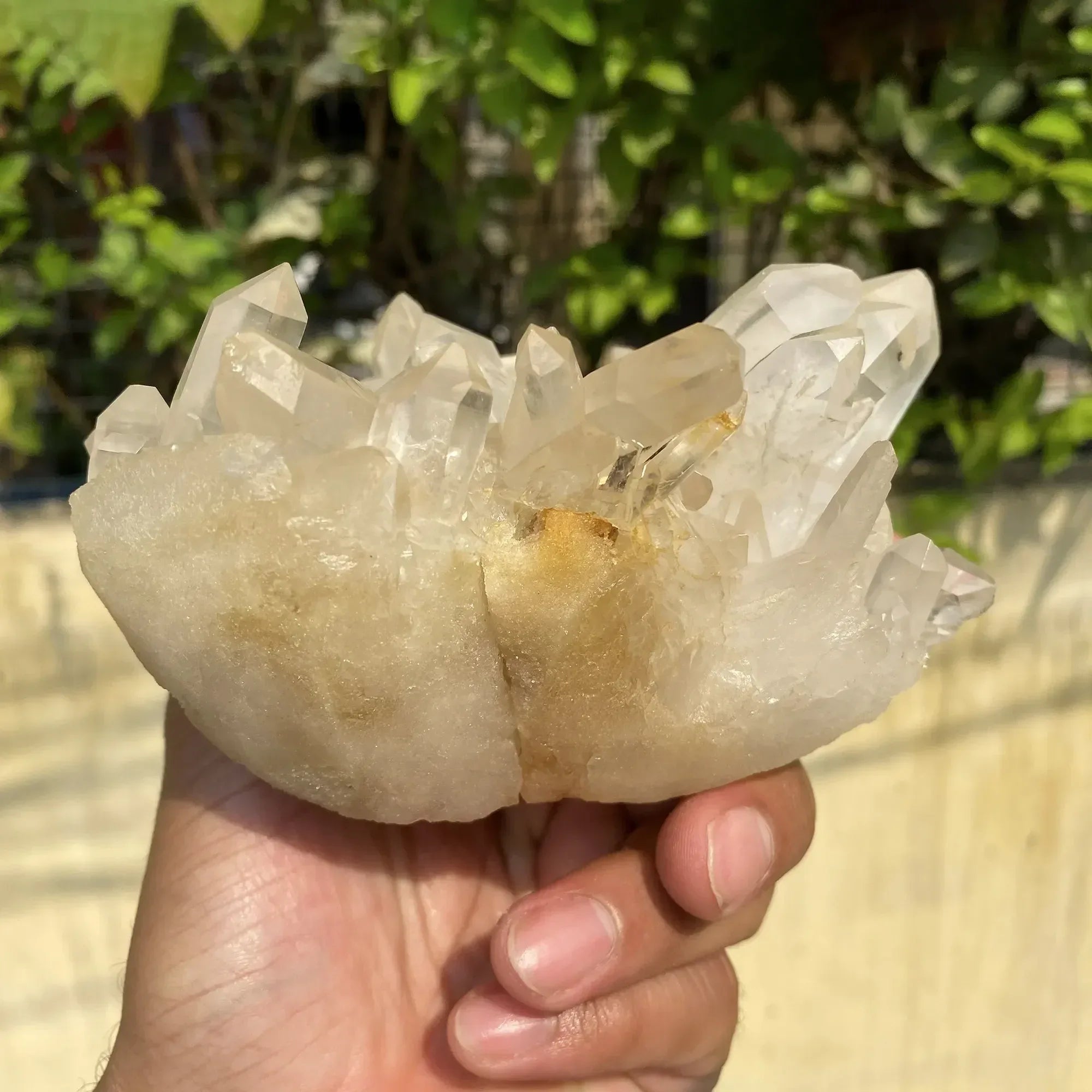 Natural Himalayan White + Yellow Quartz Cluster 940g Himalayan Quartz